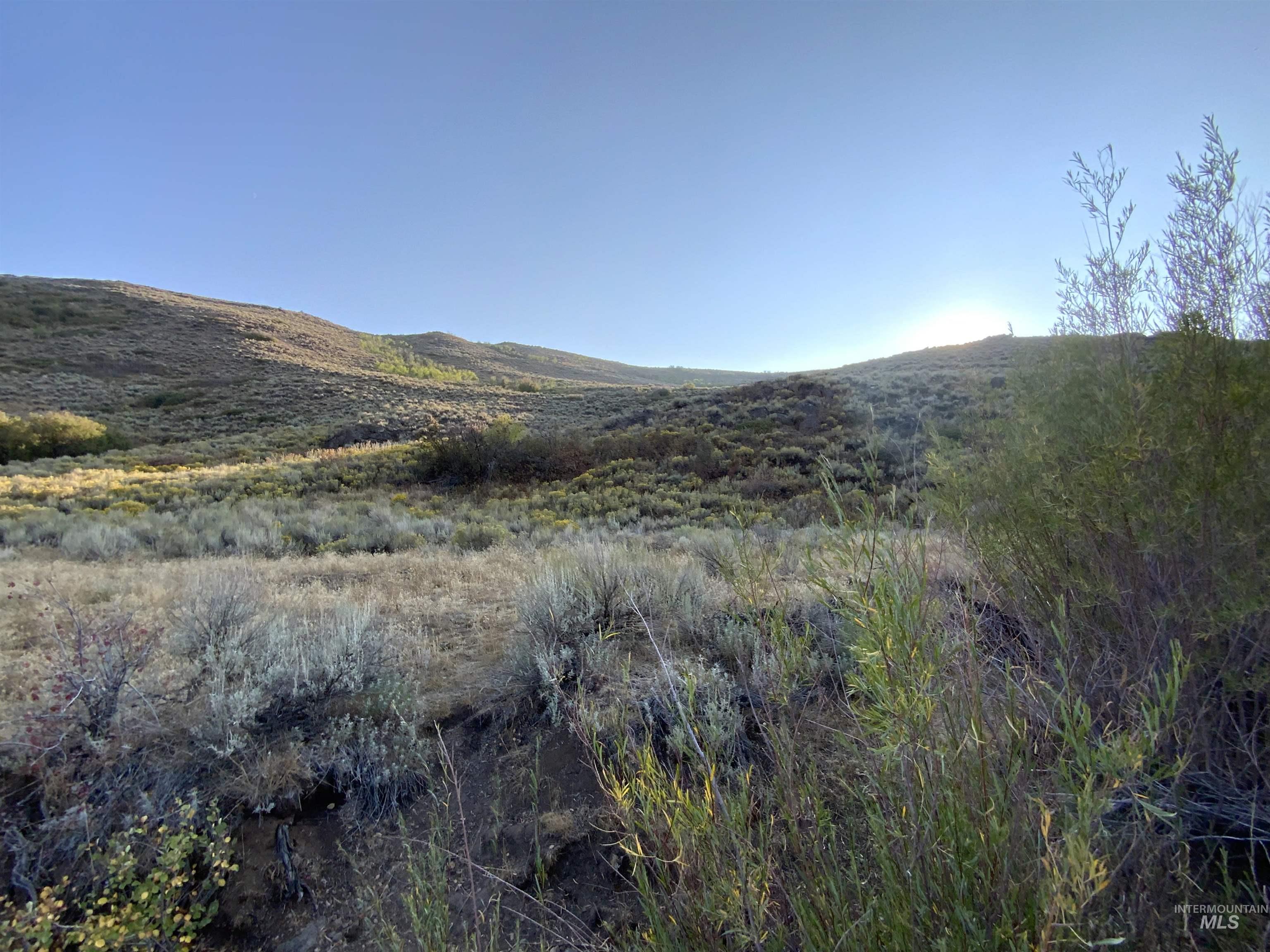 Poison Creek Road, Bellevue, Idaho 83313, Land For Sale, Price $795,000, 98999621