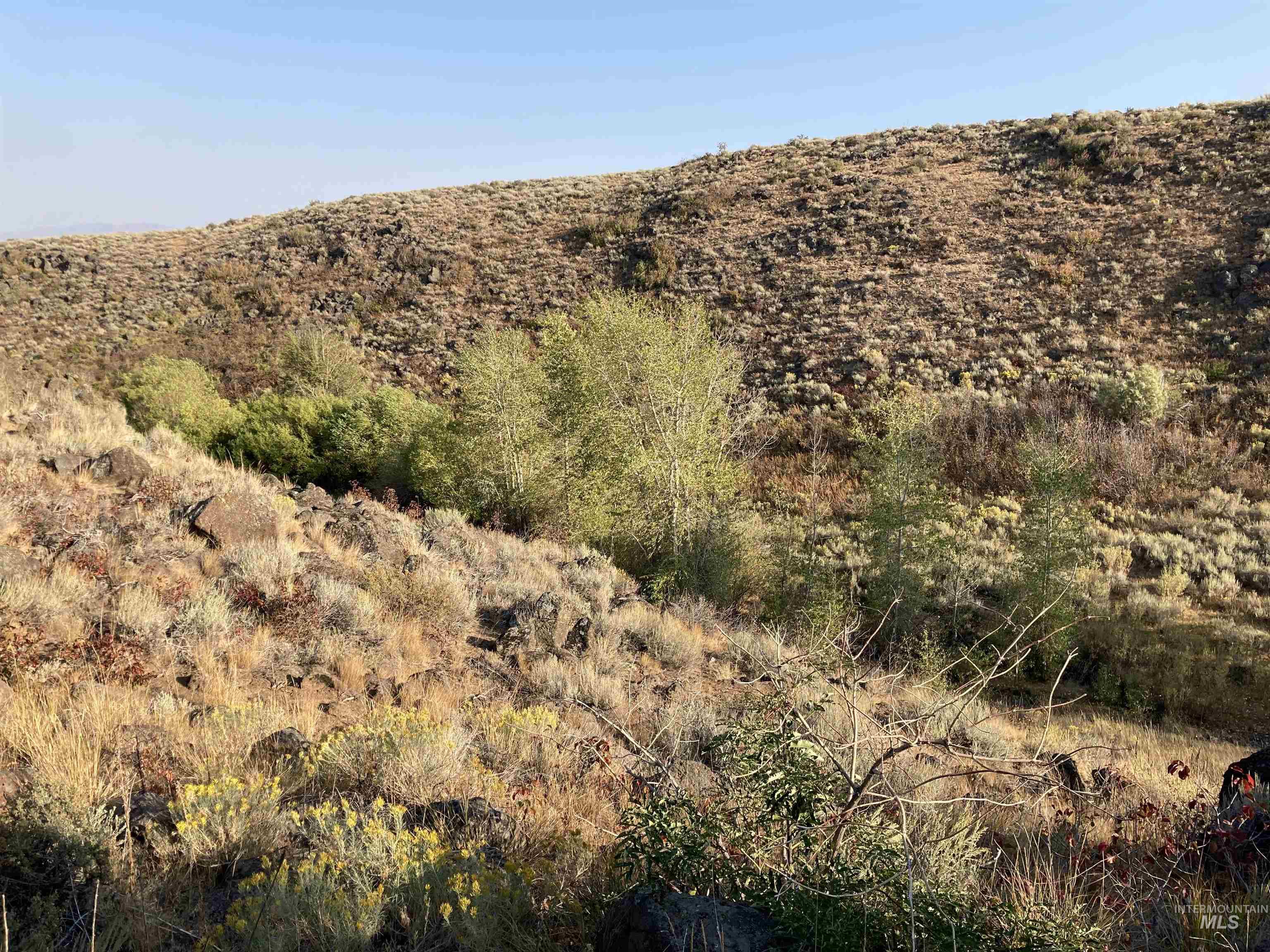 Poison Creek Road, Bellevue, Idaho 83313, Land For Sale, Price $795,000, 98999621