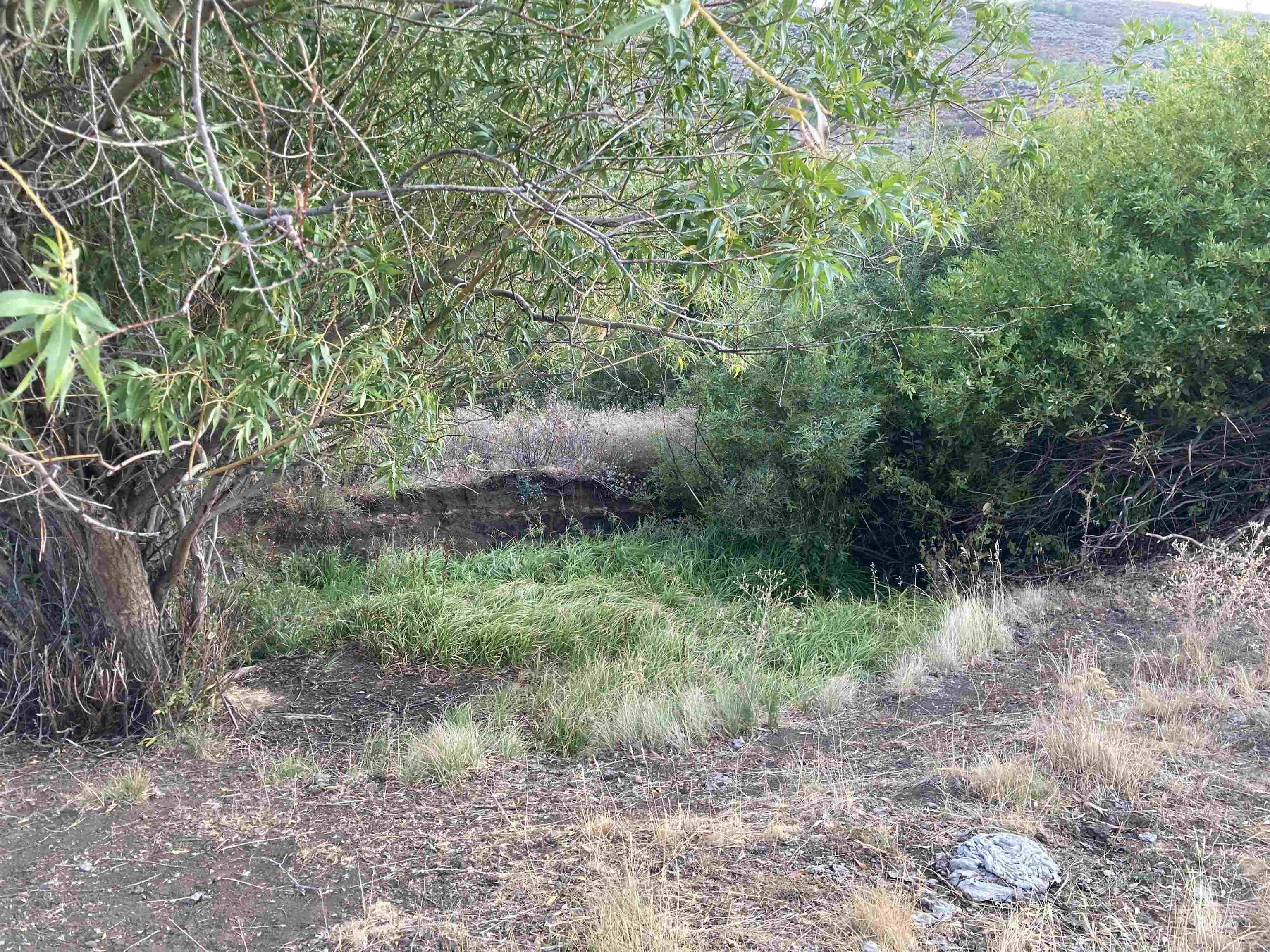 Poison Creek Road, Bellevue, Idaho 83313, Land For Sale, Price $795,000, 98999621