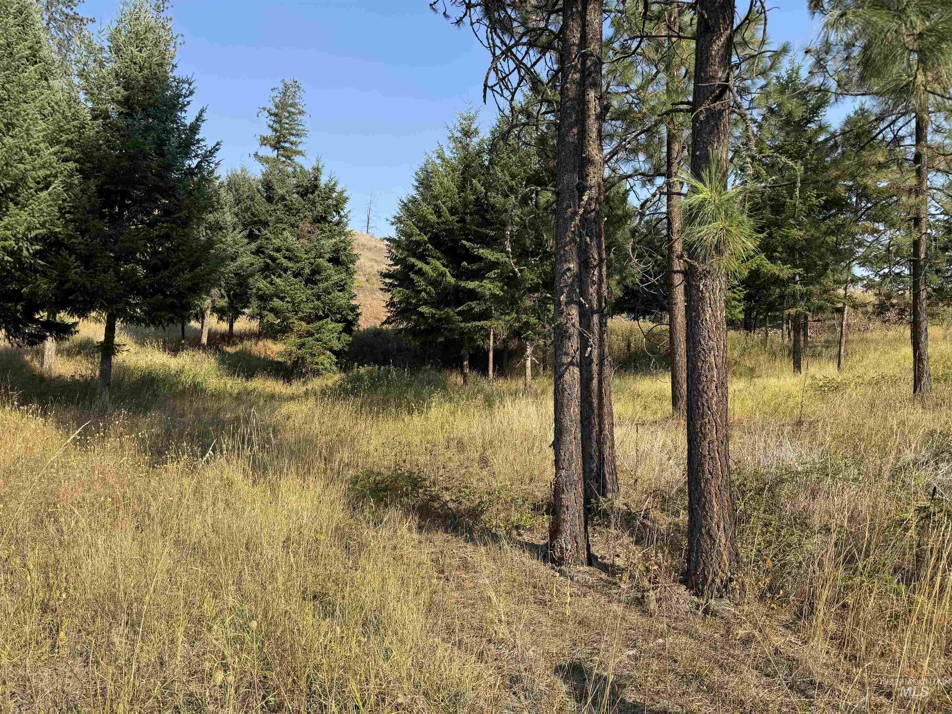 129 Meadow Lane, Kamiah, Idaho 83536, Land For Sale, Price $214,000, 98999622