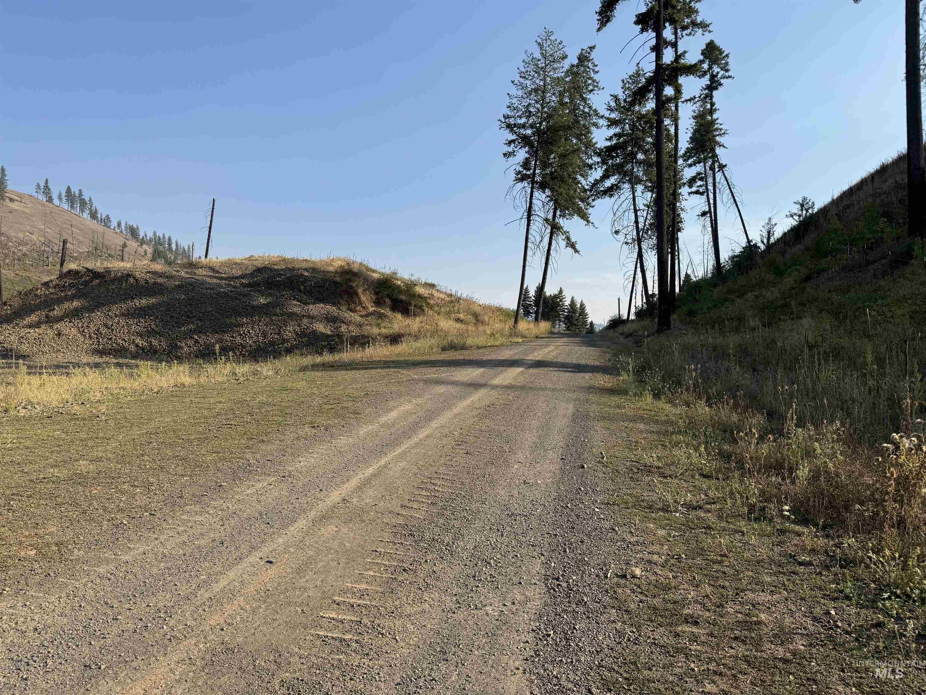 129 Meadow Lane, Kamiah, Idaho 83536, Land For Sale, Price $214,000, 98999622