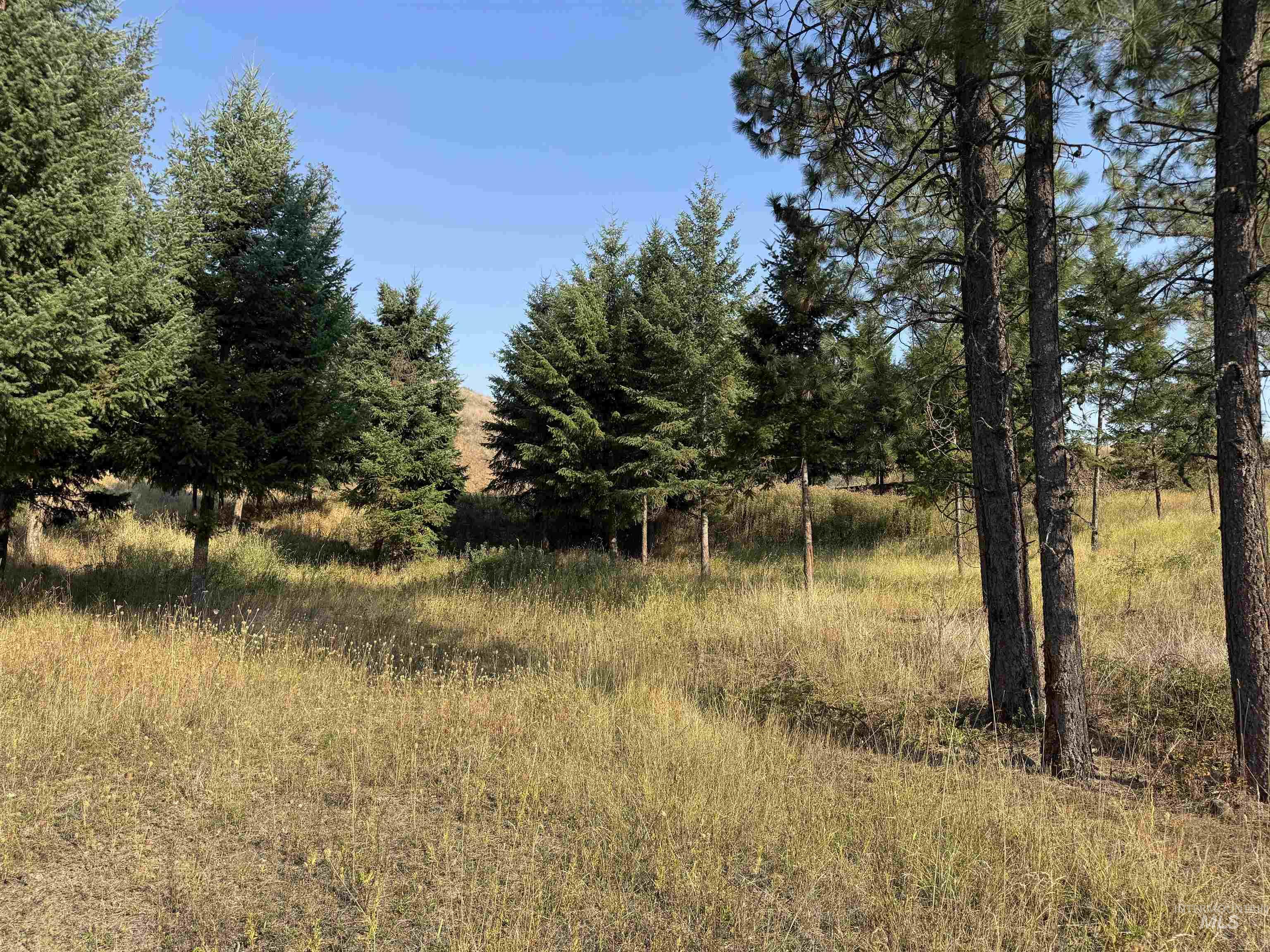129 Meadow Lane, Kamiah, Idaho 83536, Land For Sale, Price $214,000, 98999622