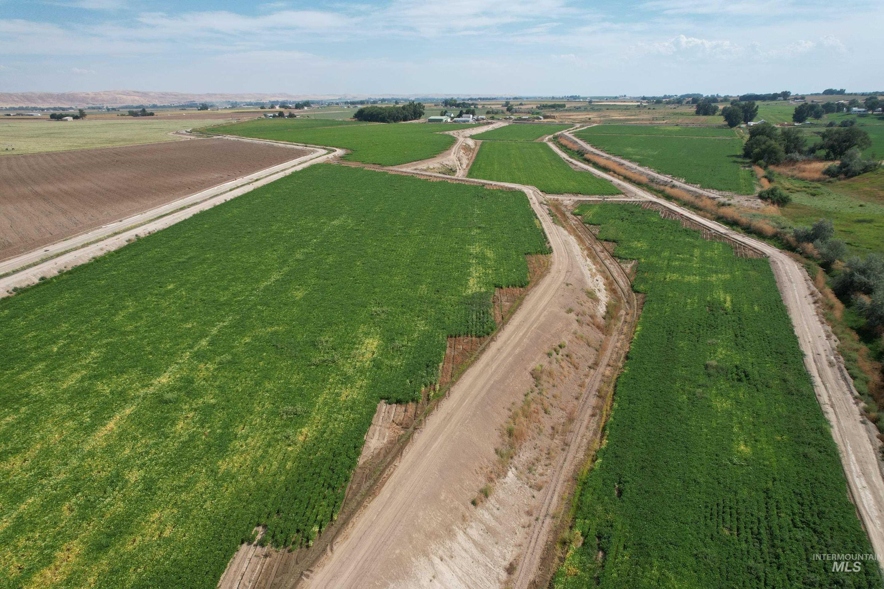 254 Ivy Road, Ontario, Idaho 97914, 3 Bedrooms, 1 Bathroom, Farm & Ranch For Sale, Price $950,000, 98999644