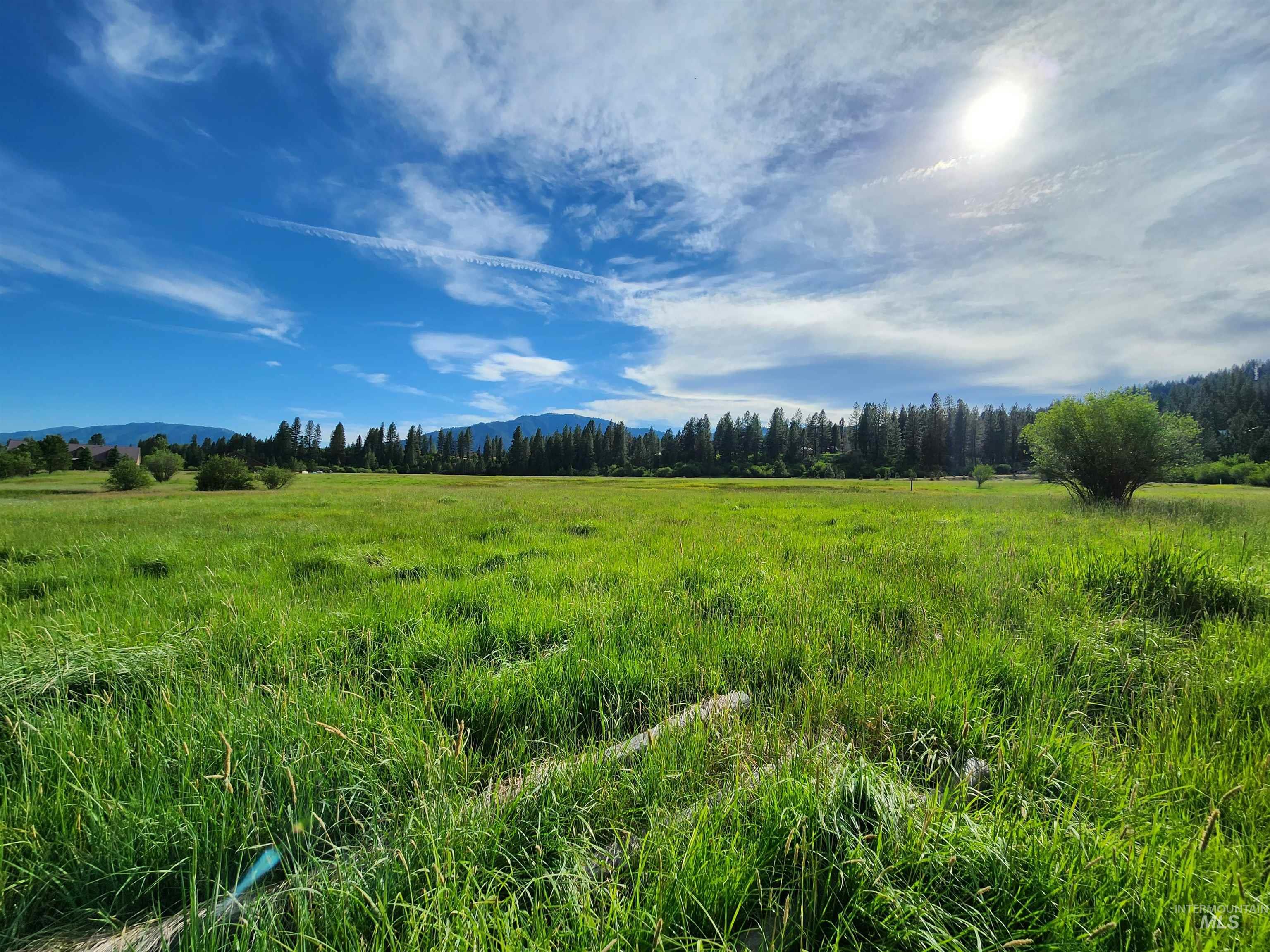 Lot 2 LEO Court, Garden Valley, Idaho 83622, Land For Sale, Price $459,000, 98999703
