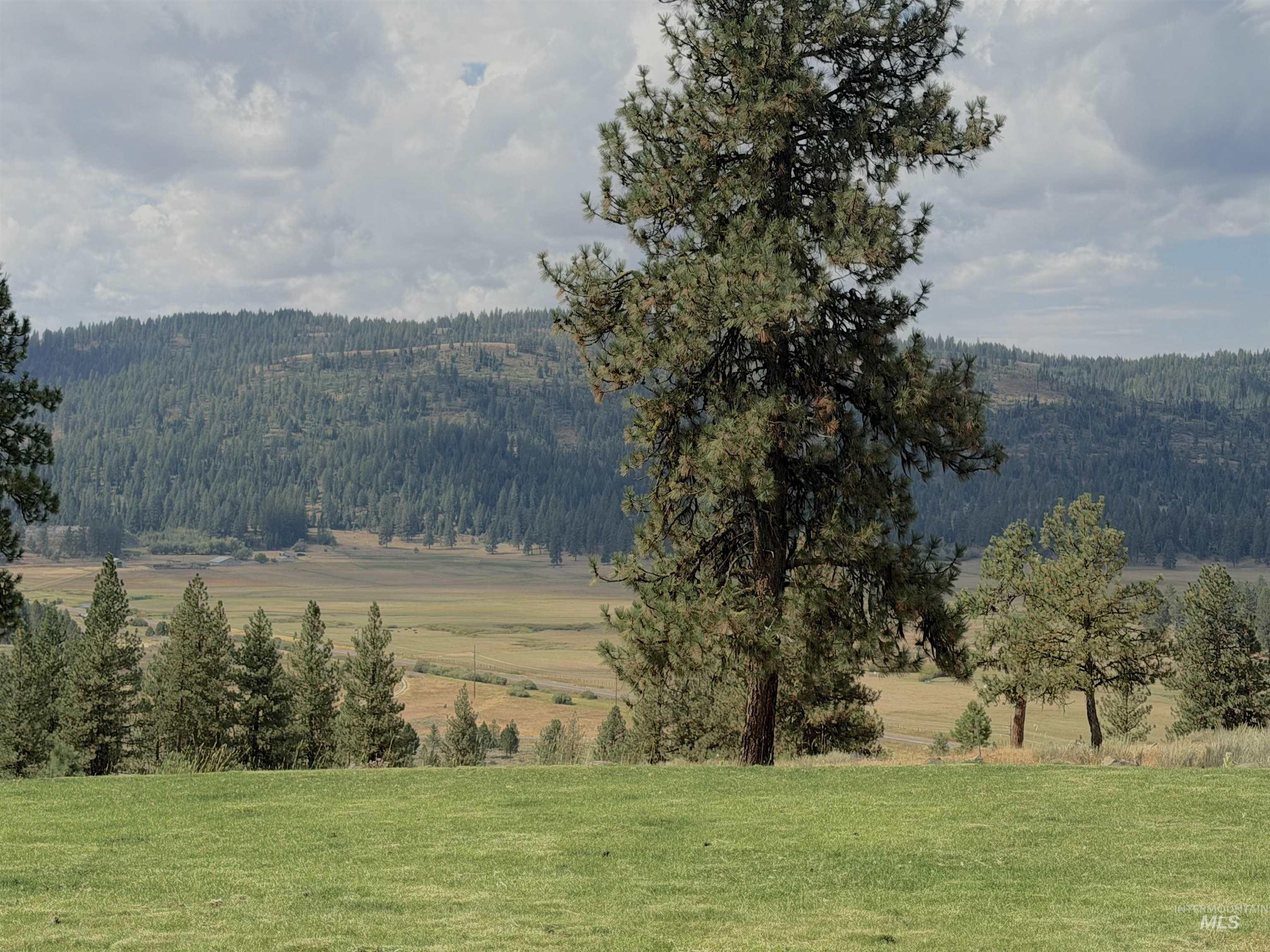 3618 Tamarack View Dr, New Meadows, Idaho 83654, 5 Bedrooms, 5.5 Bathrooms, Residential For Sale, Price $1,690,000,MLS 98999760