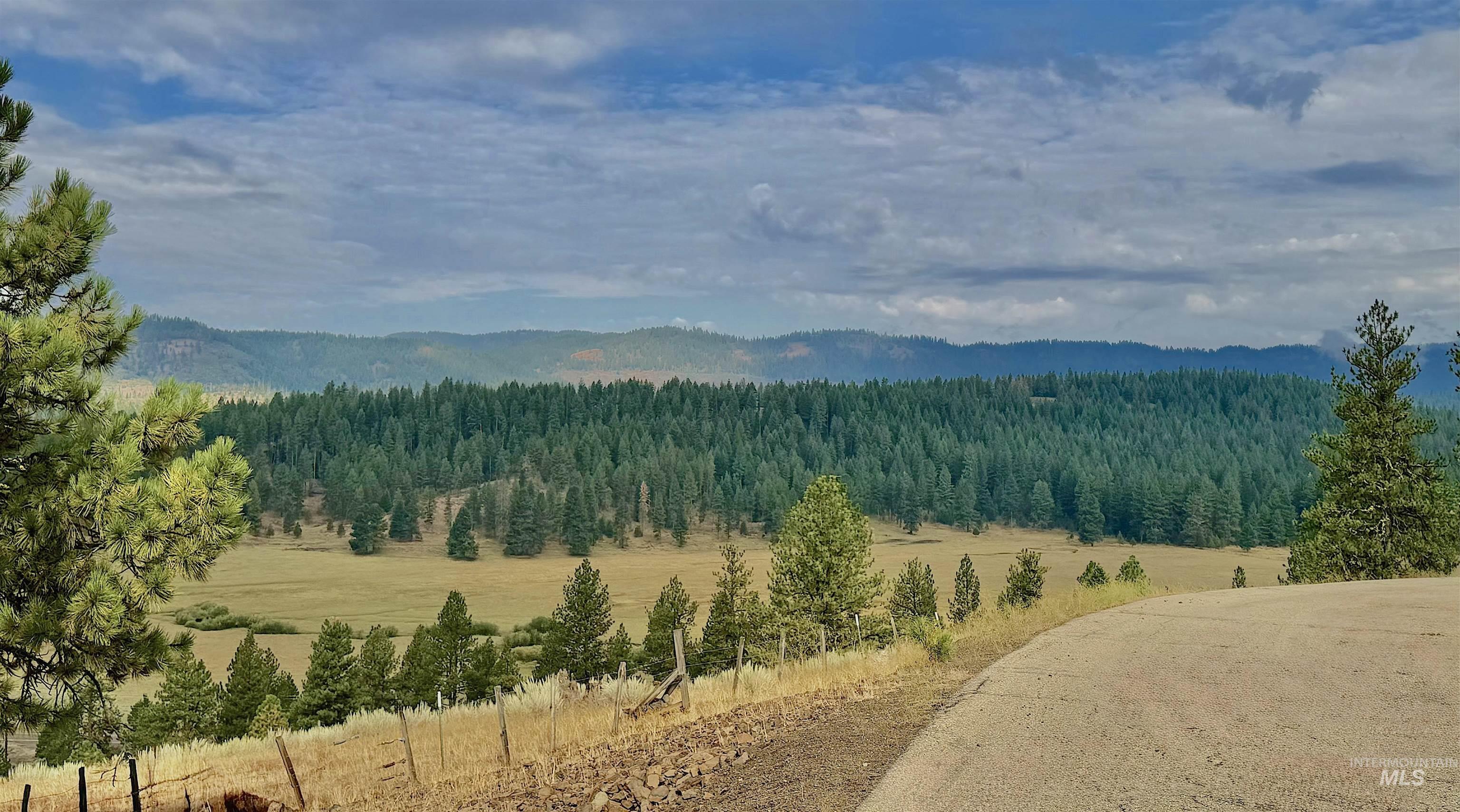 3618 Tamarack View Dr, New Meadows, Idaho 83654, 5 Bedrooms, 5.5 Bathrooms, Residential For Sale, Price $1,690,000,MLS 98999760