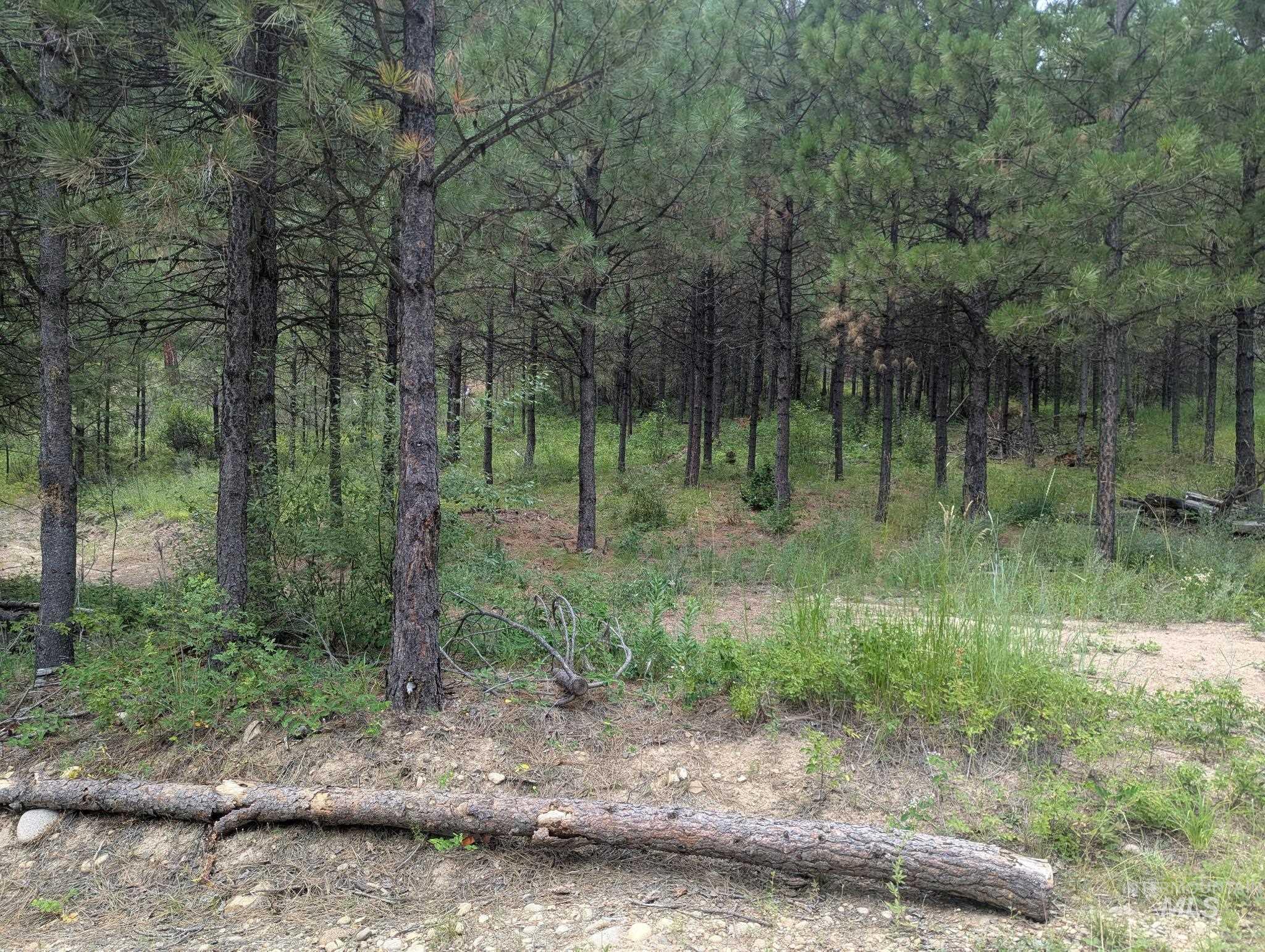 Lot 4 Plateau Rd, Lowman, Idaho 83637, Land For Sale, Price $70,000, 98999763