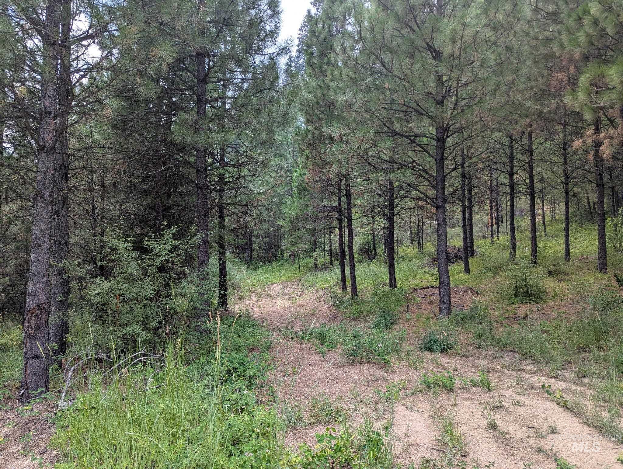 Lot 4 Plateau Rd, Lowman, Idaho 83637, Land For Sale, Price $70,000, 98999763