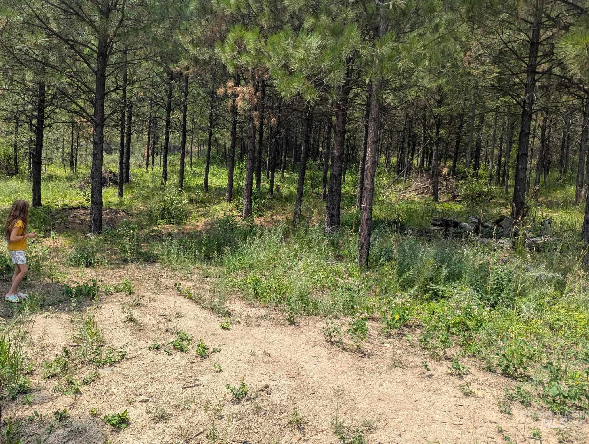 Lot 4 Plateau Rd, Lowman, Idaho 83637, Land For Sale, Price $70,000, 98999763