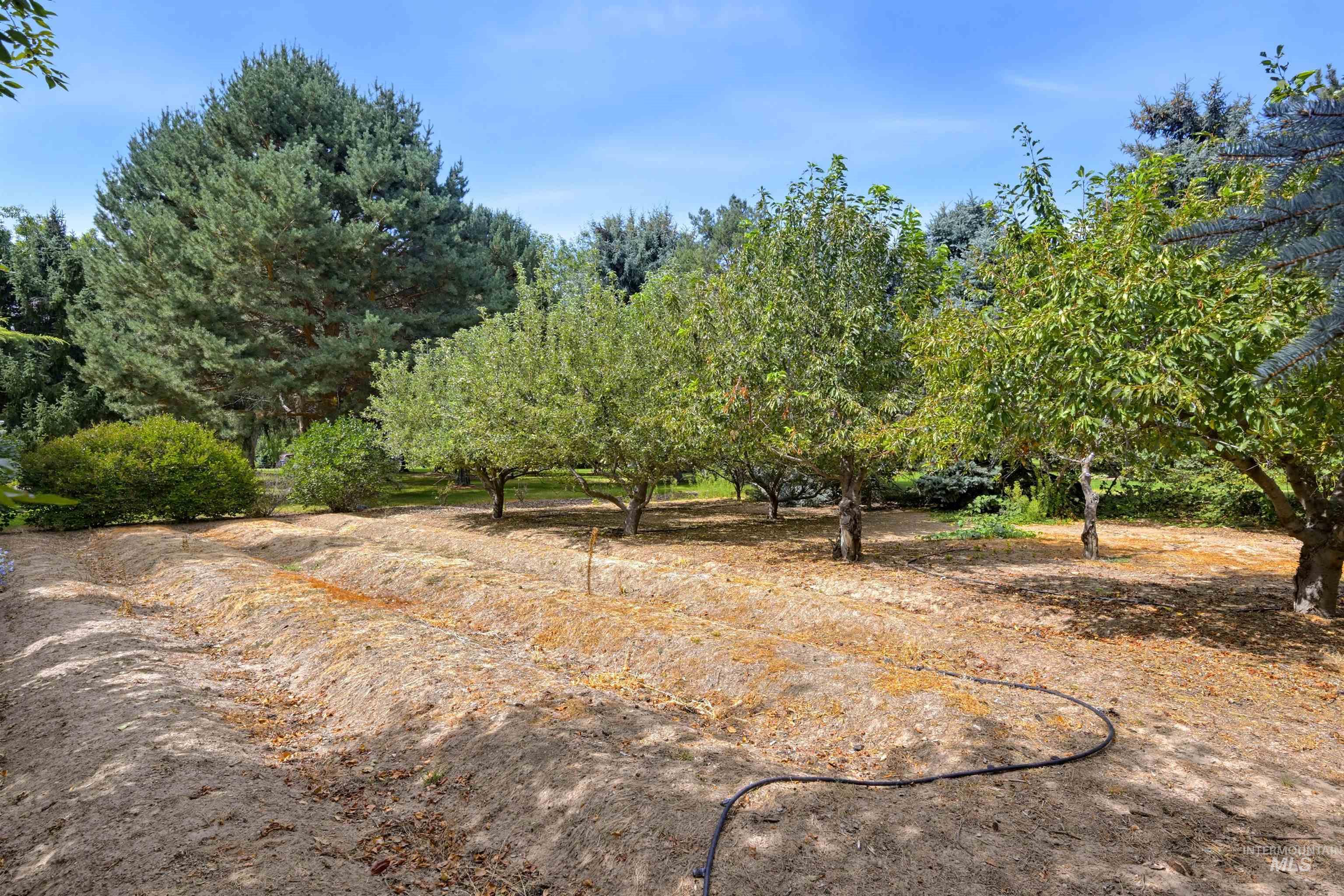 2554 W Sugar Crest Drive, Eagle, Idaho 83616, 4 Bedrooms, 3 Bathrooms, Residential For Sale, Price $1,599,000,MLS 98999773