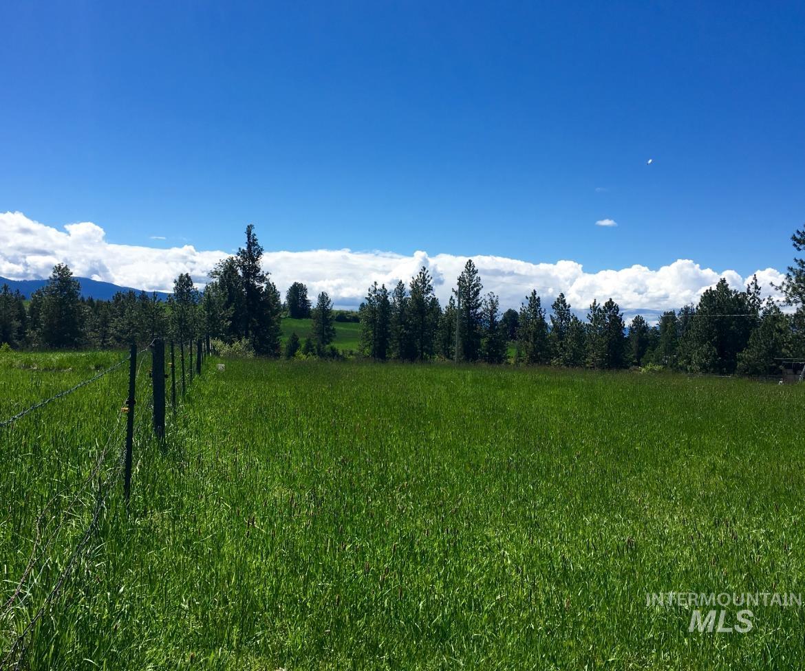 637 Leitch Creek Rd, Kooskia, Idaho 83539, 3 Bedrooms, 2.5 Bathrooms, Residential For Sale, Price $679,000,MLS 98999788