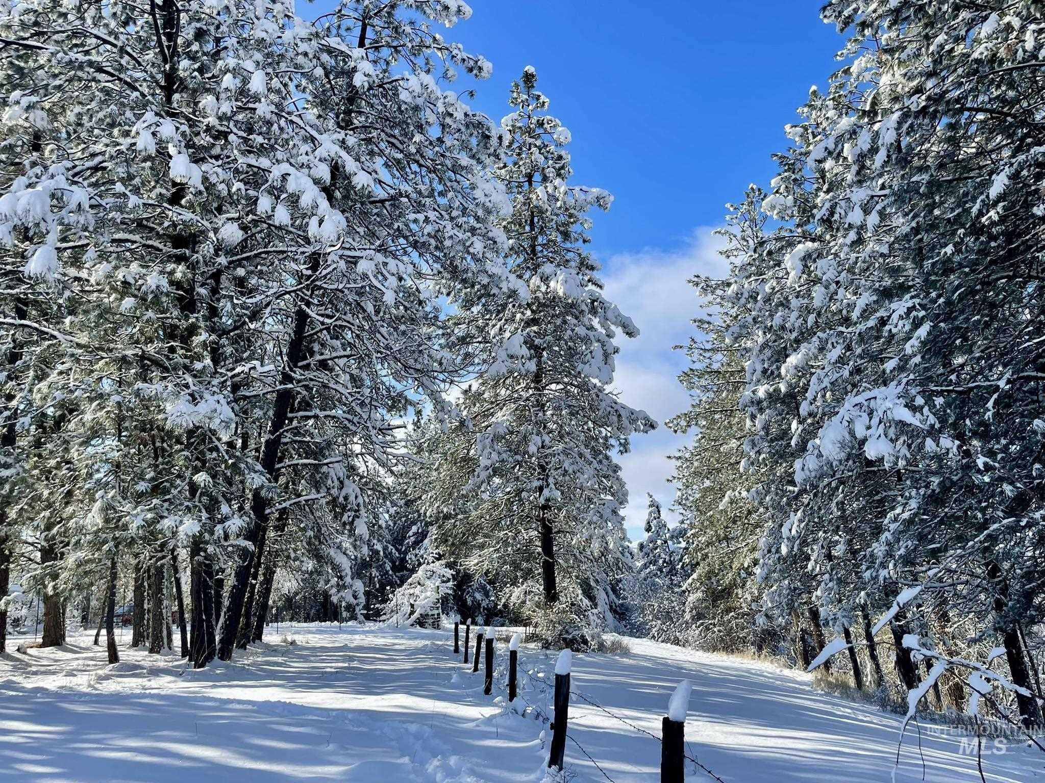 637 Leitch Creek Rd, Kooskia, Idaho 83539, 3 Bedrooms, 2.5 Bathrooms, Residential For Sale, Price $810,000,MLS 98999793