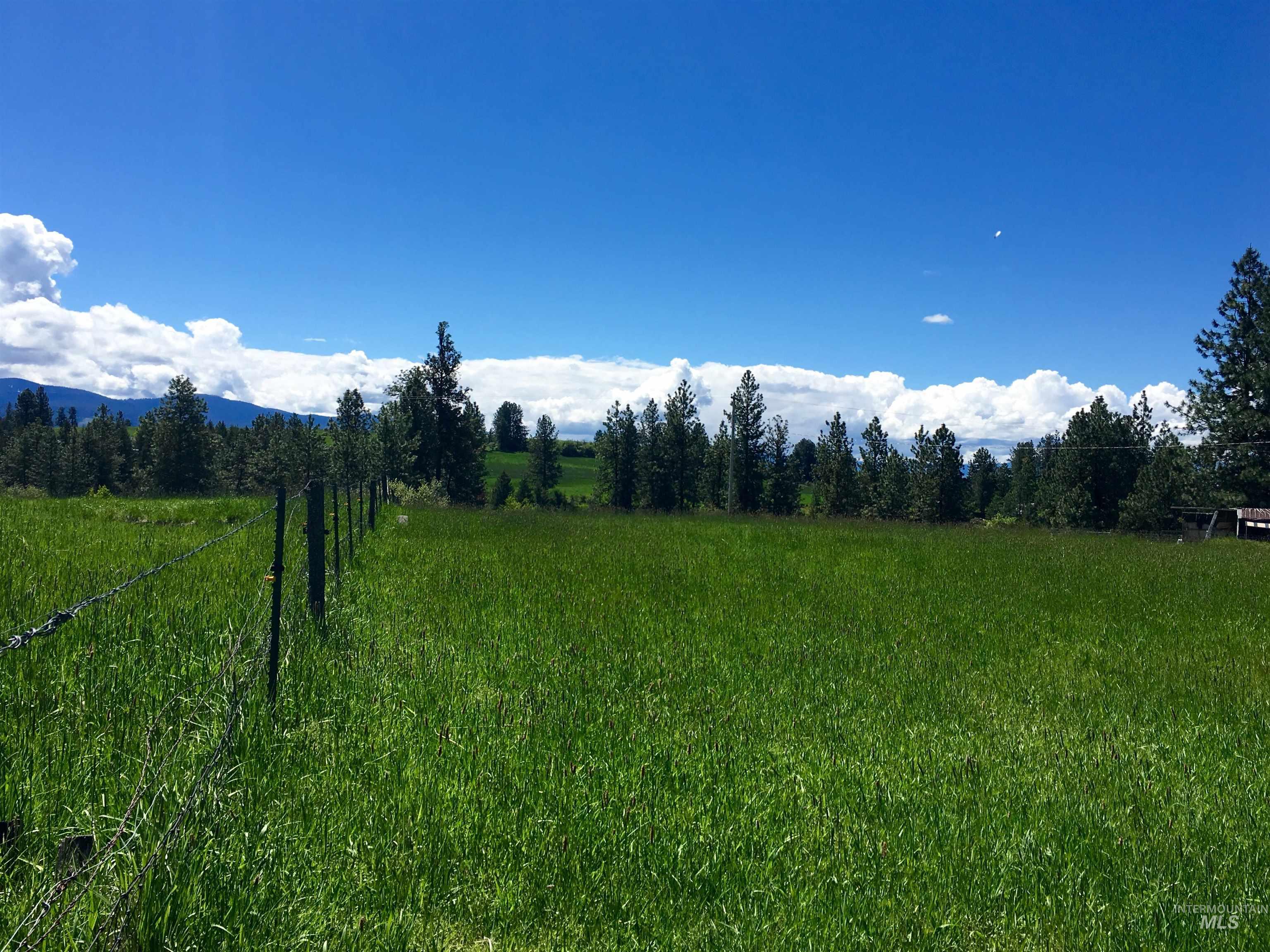 637 Leitch Creek Rd, Kooskia, Idaho 83539, 3 Bedrooms, 2.5 Bathrooms, Residential For Sale, Price $810,000,MLS 98999793