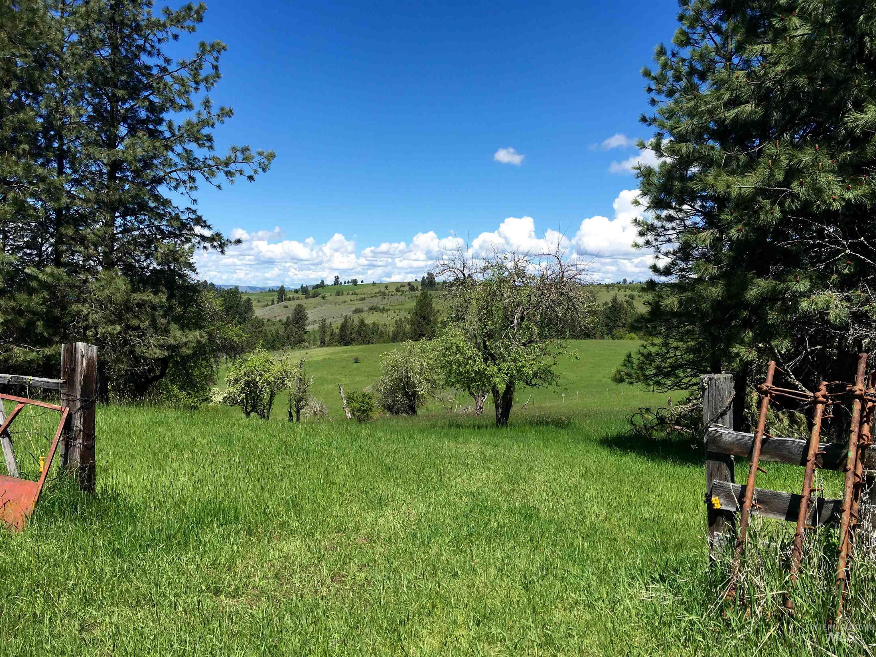 637 Leitch Creek Rd, Kooskia, Idaho 83539, 3 Bedrooms, 2.5 Bathrooms, Residential For Sale, Price $810,000,MLS 98999793