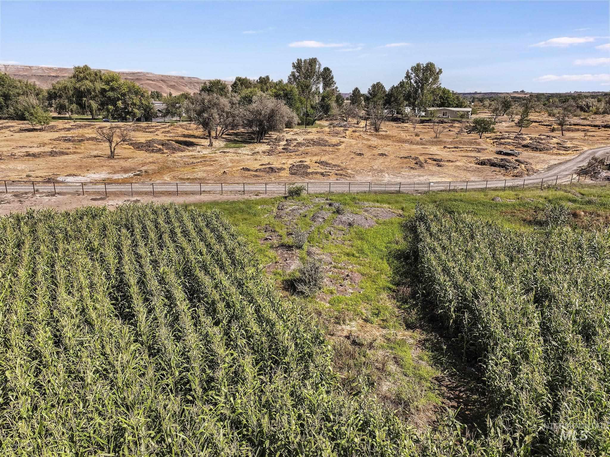 TBD Lot 1 850 E., Hagerman, Idaho 83332, Land For Sale, Price $125,000,MLS 98999889
