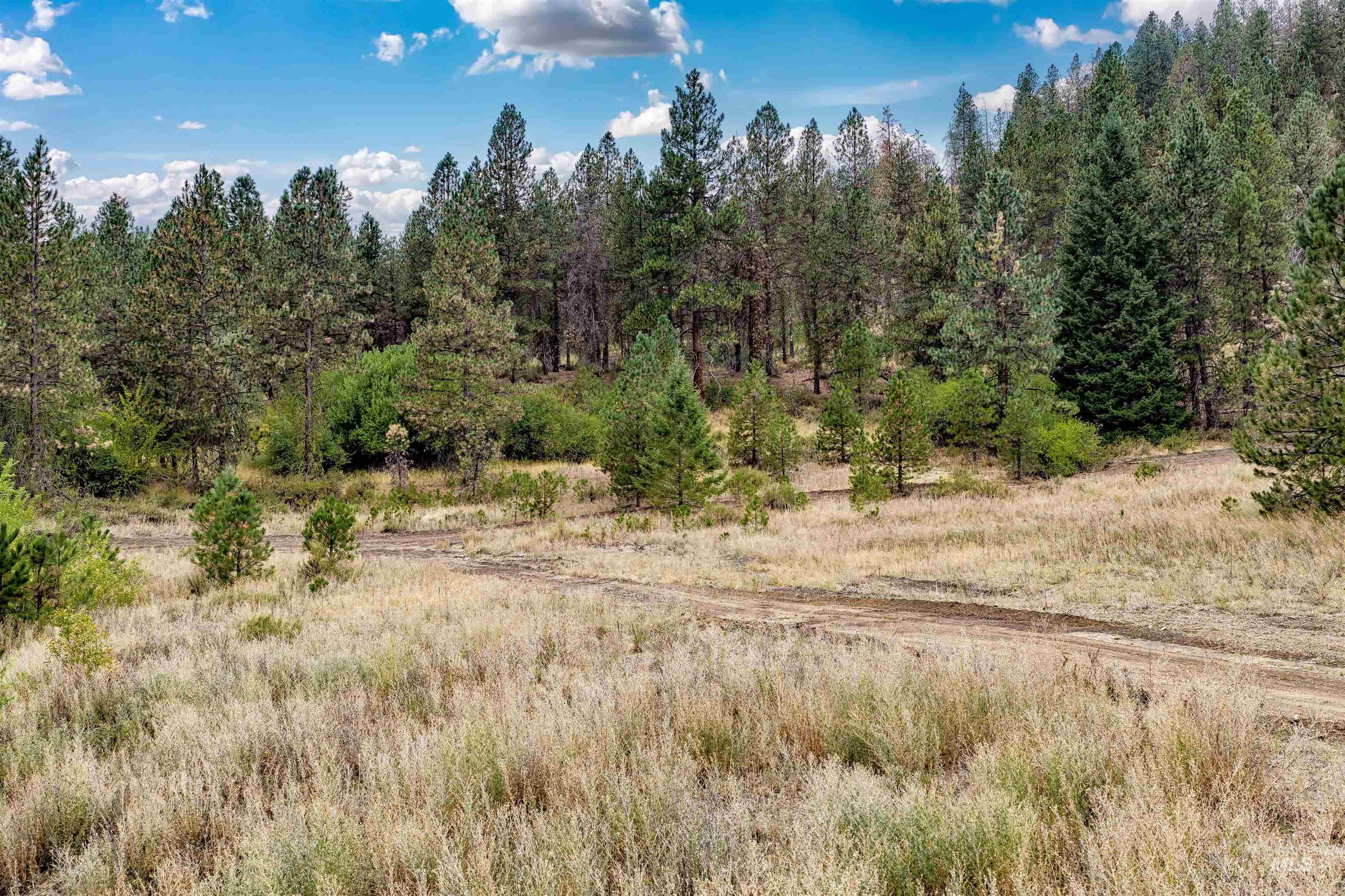 TBD (Lot 1) HWY 21, Boise, Idaho 83716, Land For Sale, Price $349,000, 98999902