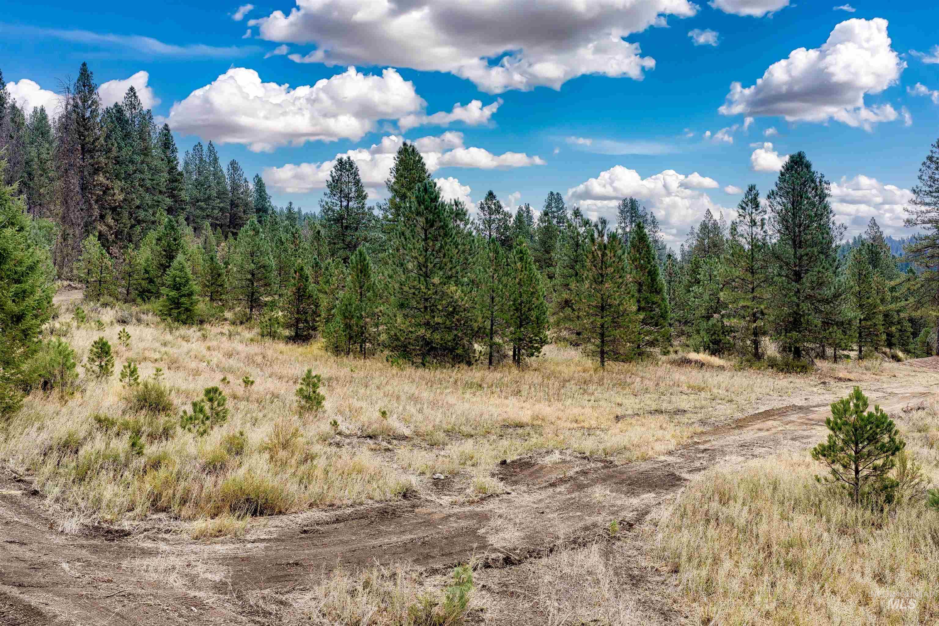 TBD (Lot 1) HWY 21, Boise, Idaho 83716, Land For Sale, Price $349,000, 98999902