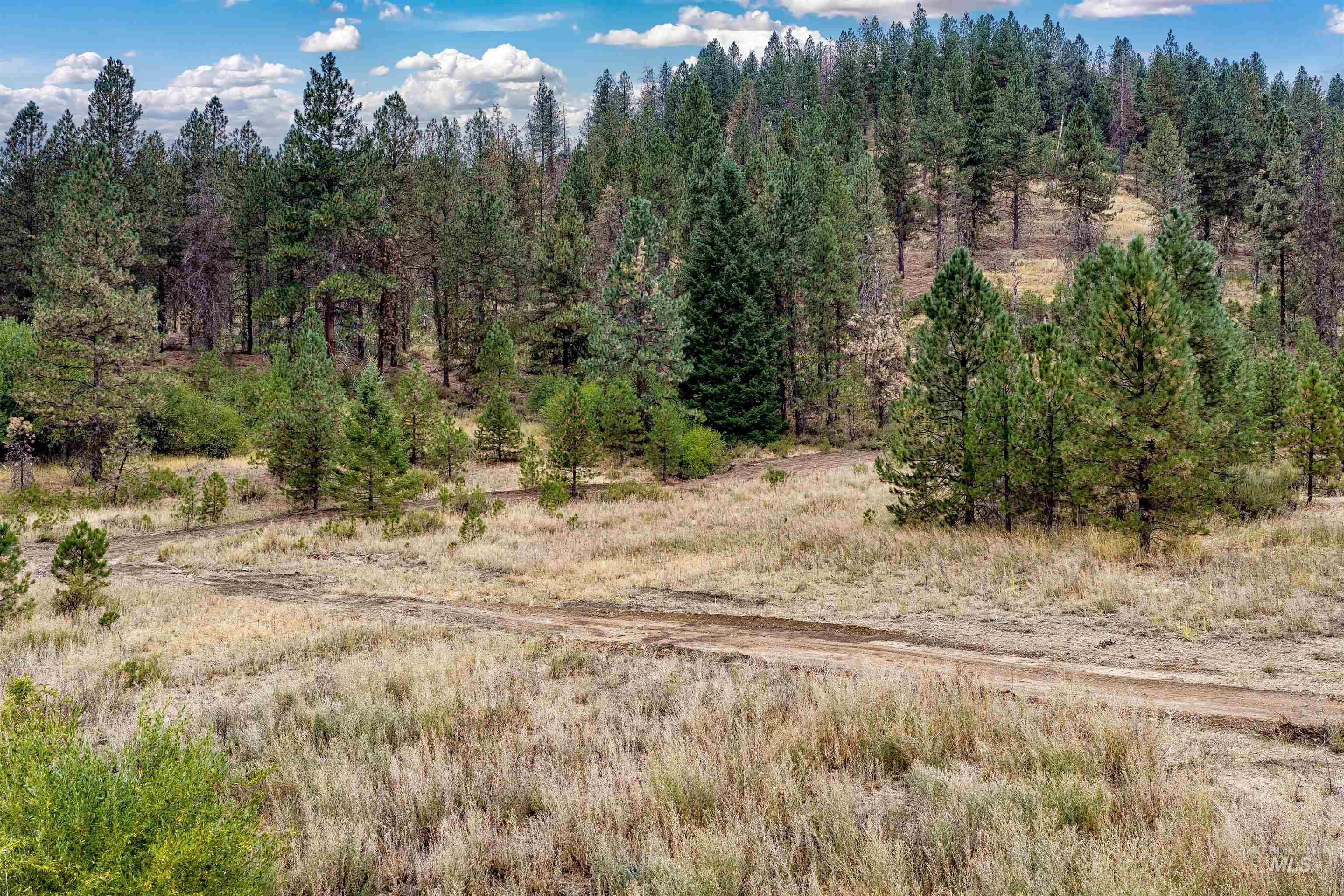 TBD (Lot 1) HWY 21, Boise, Idaho 83716, Land For Sale, Price $349,000, 98999902