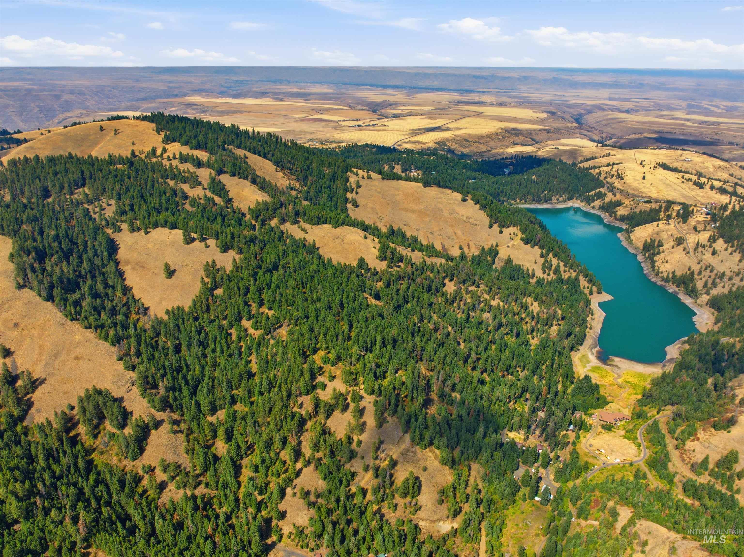 TBD Bald Eagle Dr, Lewiston, Idaho 83501, Land For Sale, Price $200,000, 98999909