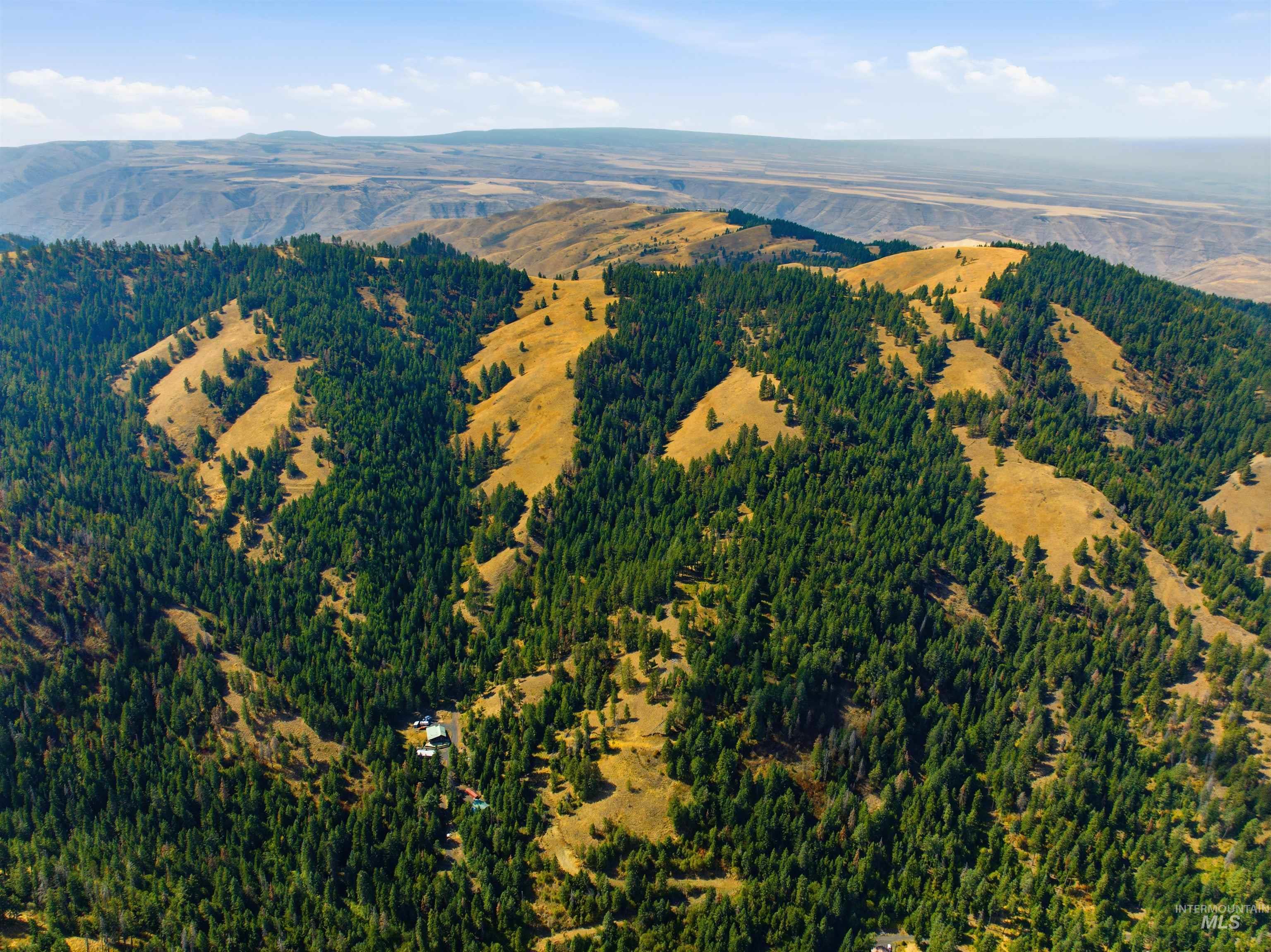 TBD Bald Eagle Dr, Lewiston, Idaho 83501, Land For Sale, Price $200,000, 98999909