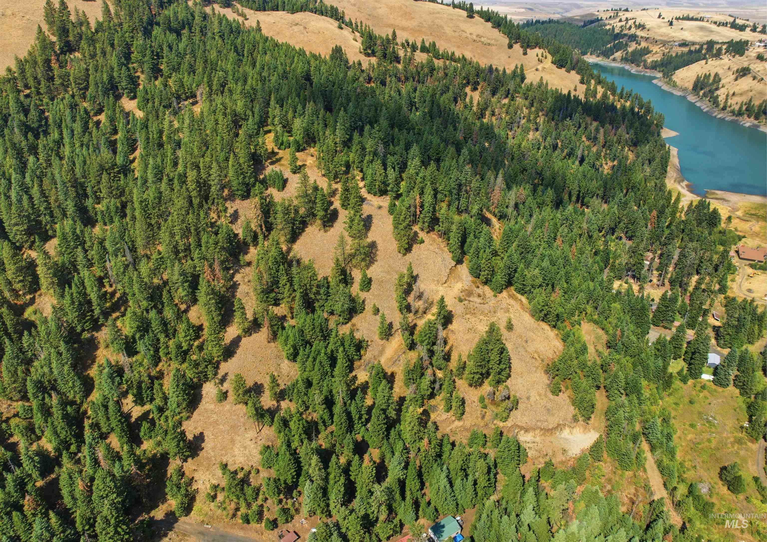TBD Bald Eagle Dr, Lewiston, Idaho 83501, Land For Sale, Price $200,000, 98999909