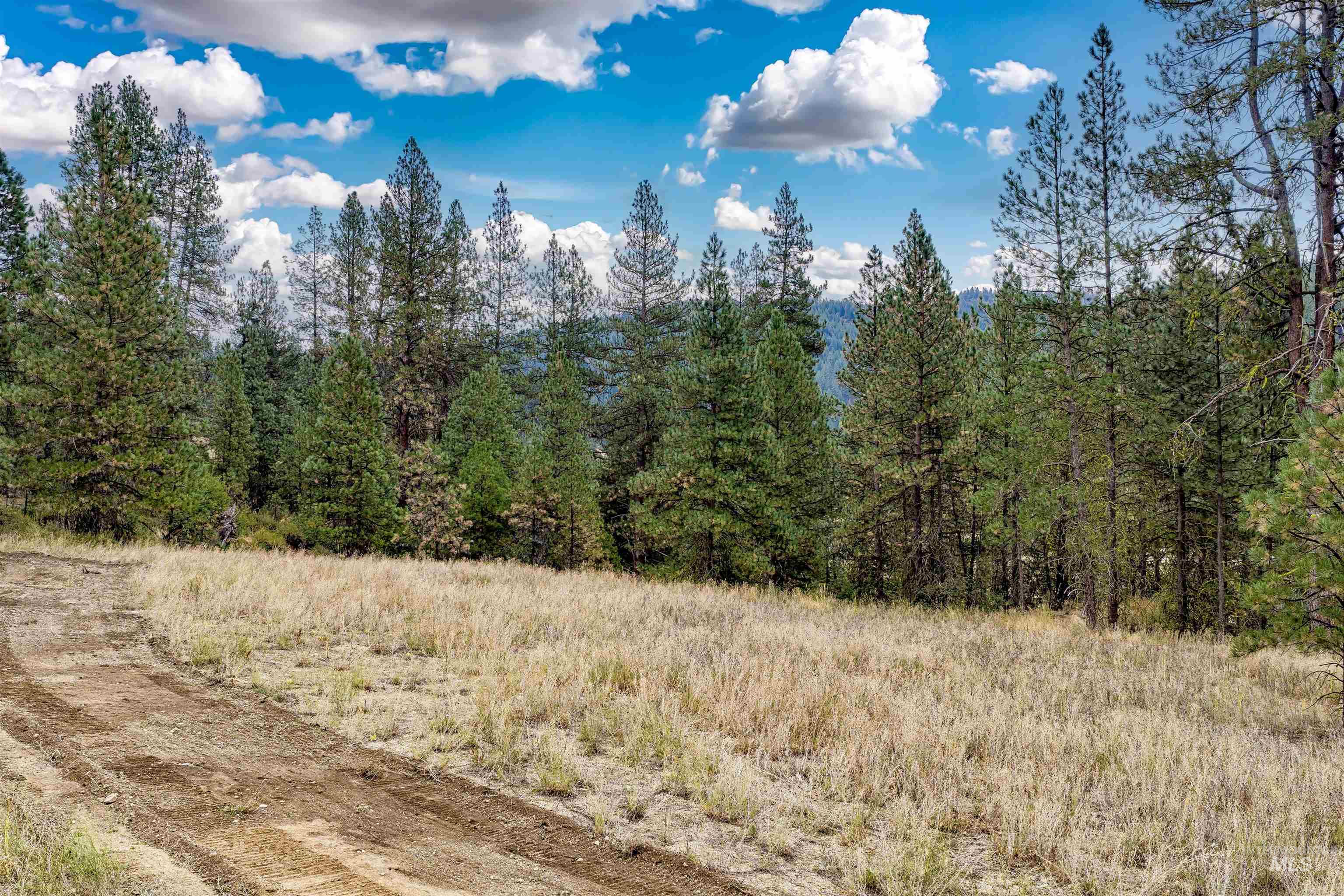 TBD (Lot 2) HWY 21, Boise, Idaho 83716, Land For Sale, Price $349,000, 98999914