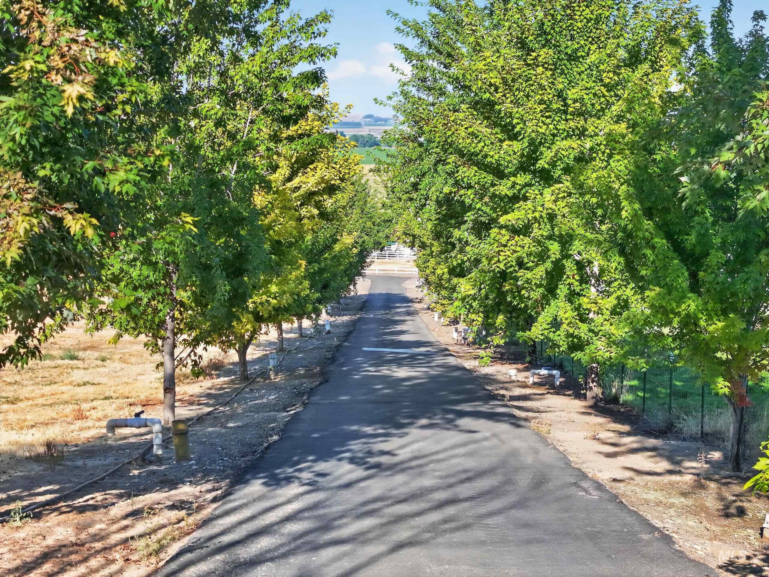 5540 Finley Rd, Fruitland, Idaho 83619, 3 Bedrooms, 2 Bathrooms, Residential For Sale, Price $1,350,000, 98999916