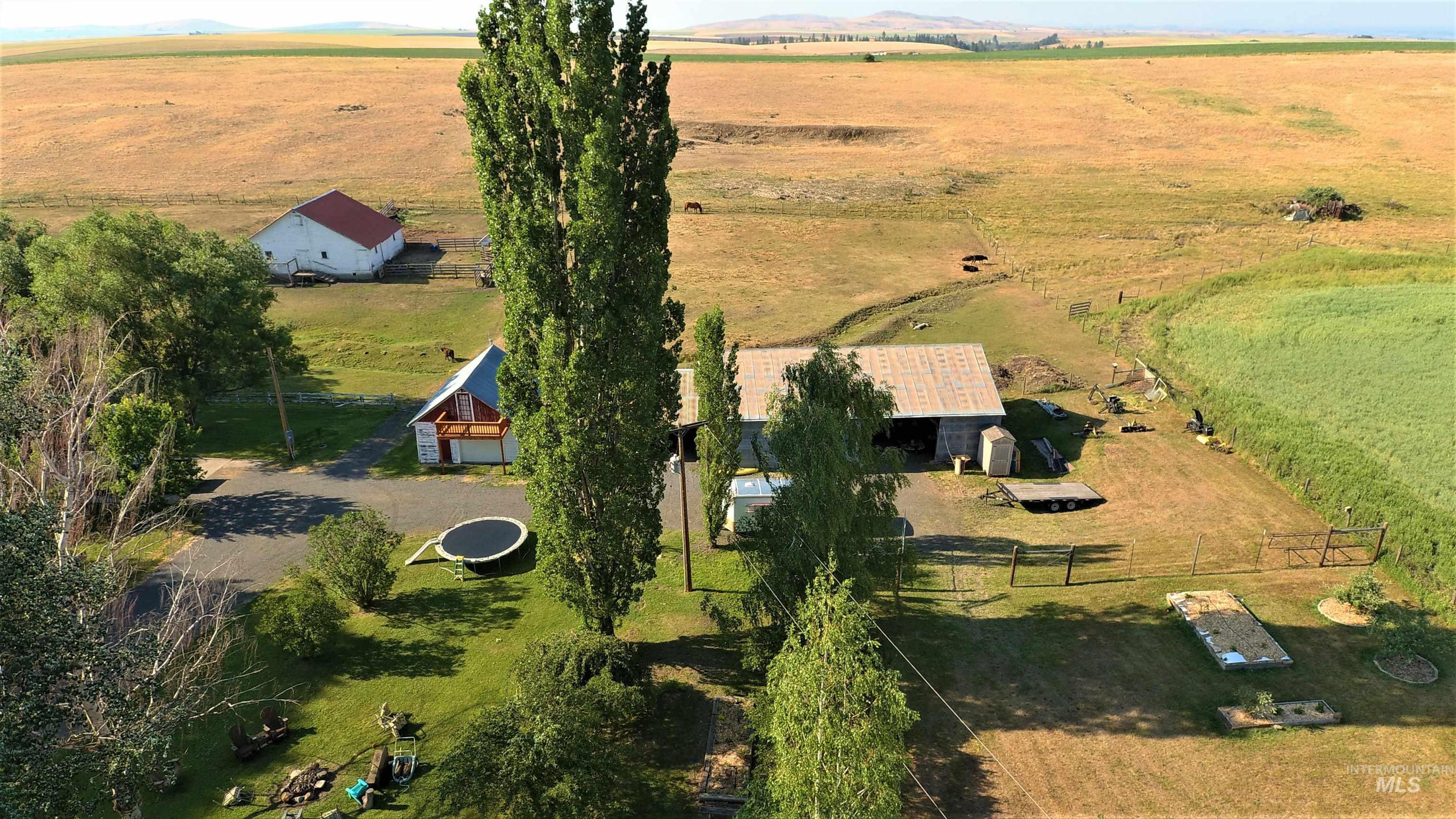 67 Jessup Road, Grangeville, Idaho 83530, 3 Bedrooms, 3 Bathrooms, Residential For Sale, Price $739,000, 98999920