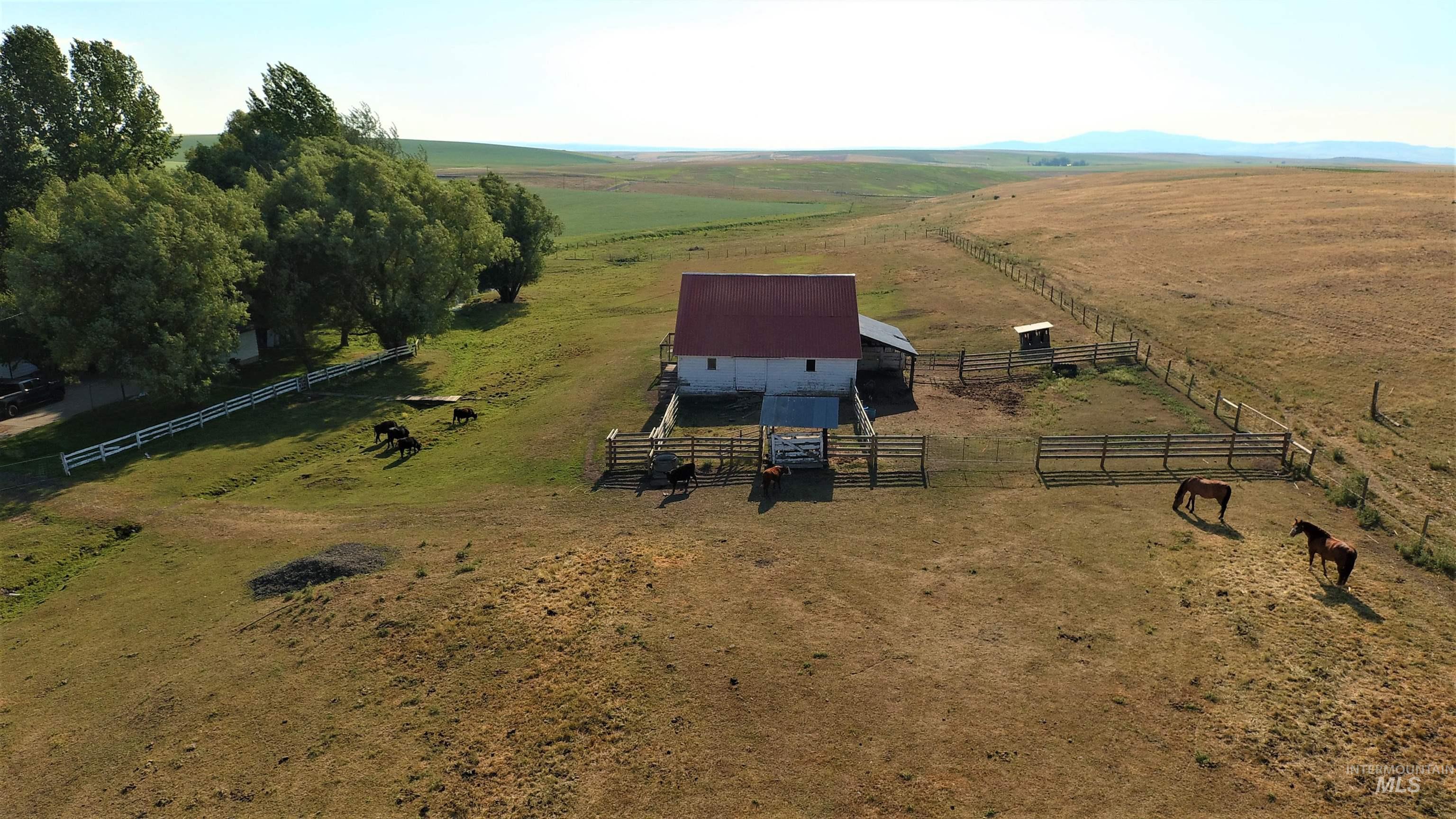 67 Jessup Road, Grangeville, Idaho 83530, 3 Bedrooms, 3 Bathrooms, Residential For Sale, Price $739,000, 98999920