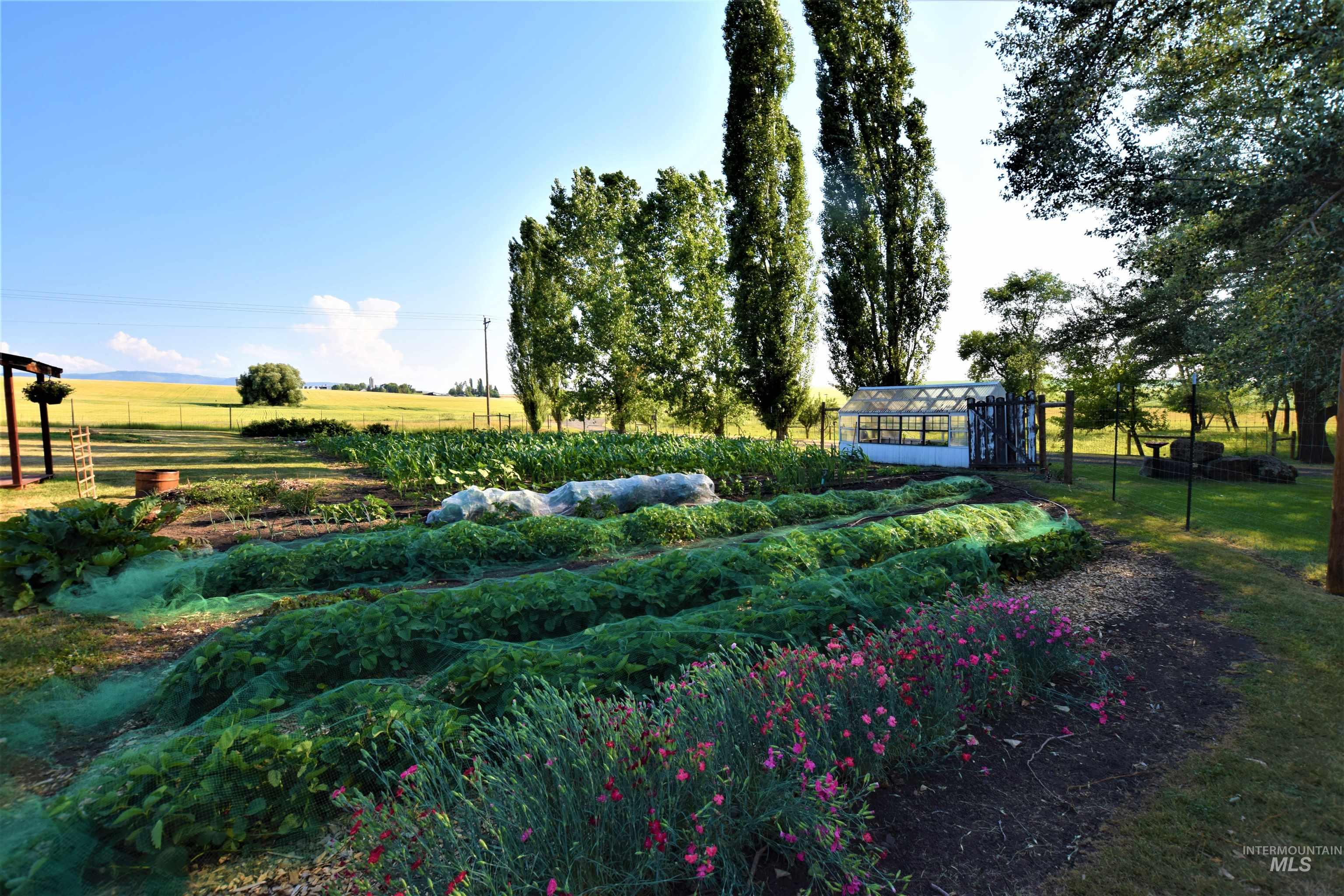 67 Jessup Road, Grangeville, Idaho 83530, 3 Bedrooms, 3 Bathrooms, Residential For Sale, Price $739,000, 98999920
