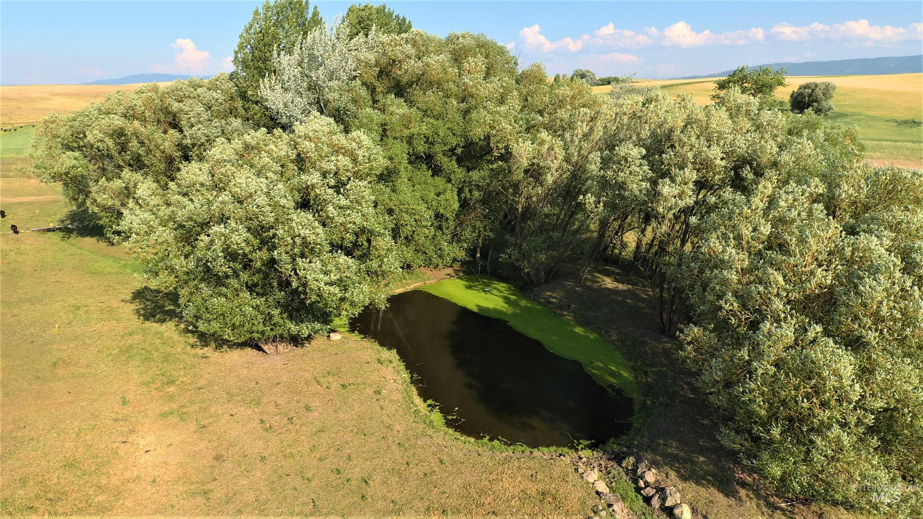 67 Jessup Road, Grangeville, Idaho 83530, 3 Bedrooms, 3 Bathrooms, Residential For Sale, Price $739,000, 98999920