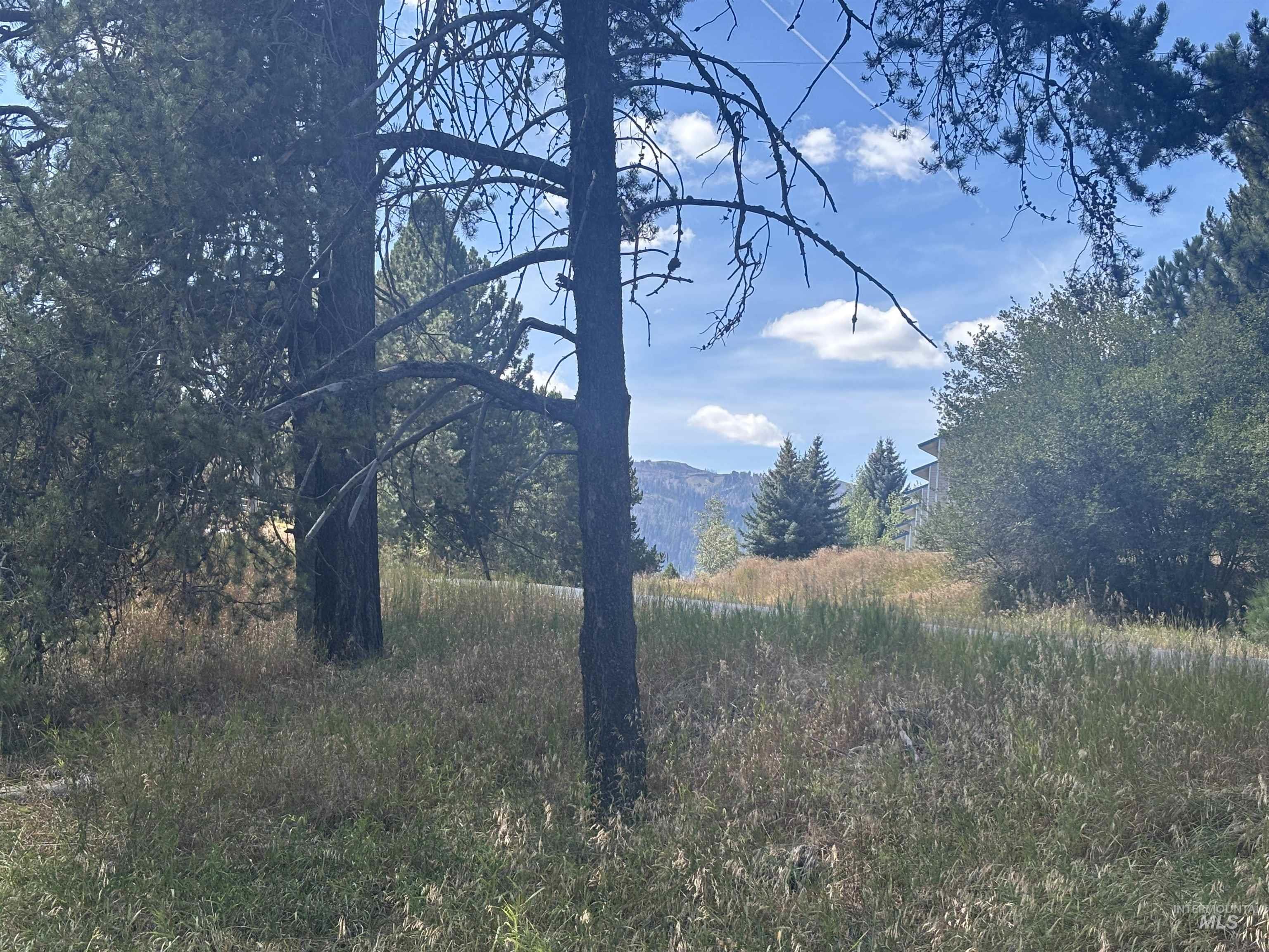 417 Antonette Circle, Cascade, Idaho 83611, Land For Sale, Price $149,900, 98999931
