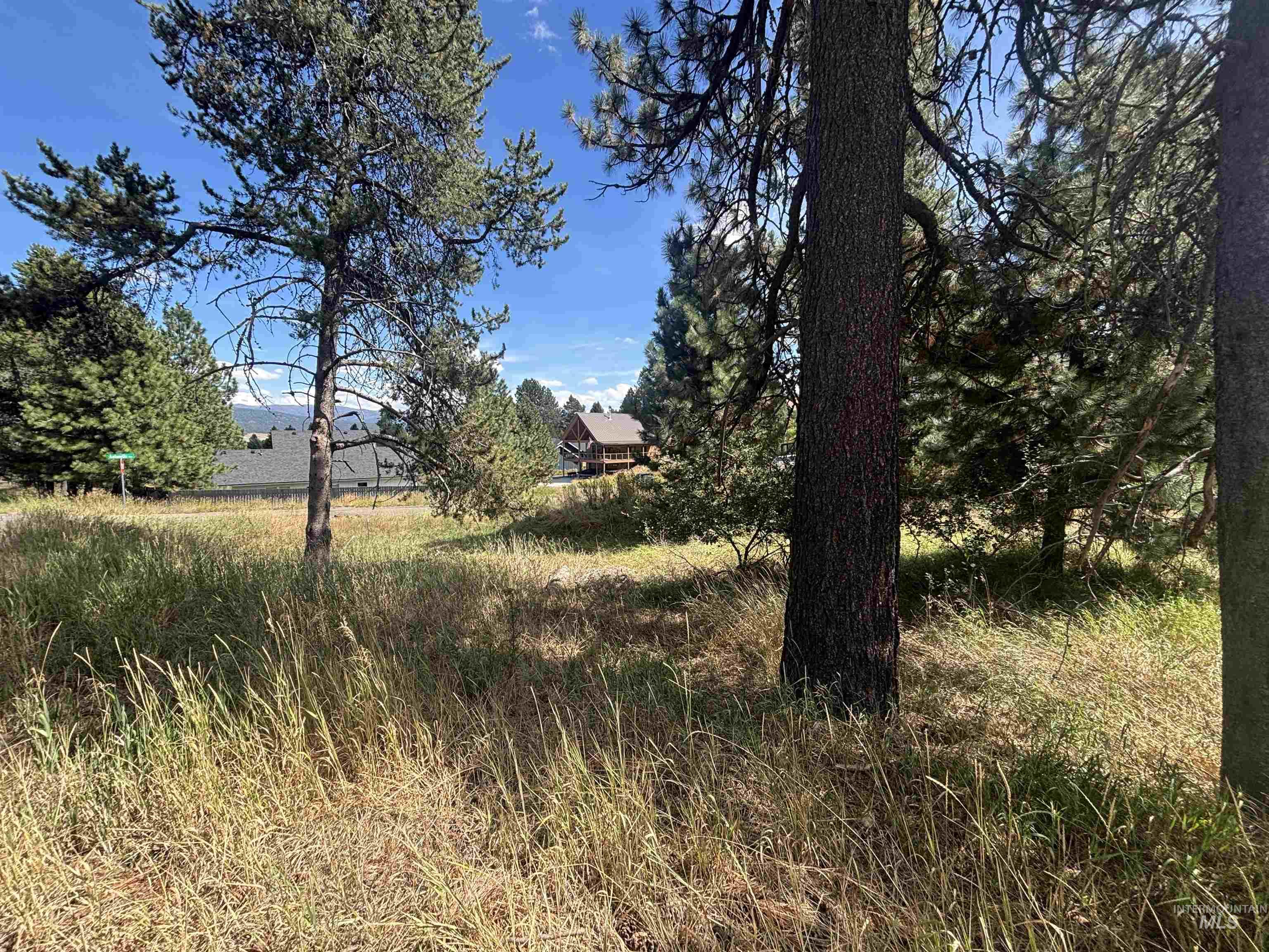 417 Antonette Circle, Cascade, Idaho 83611, Land For Sale, Price $149,900, 98999931