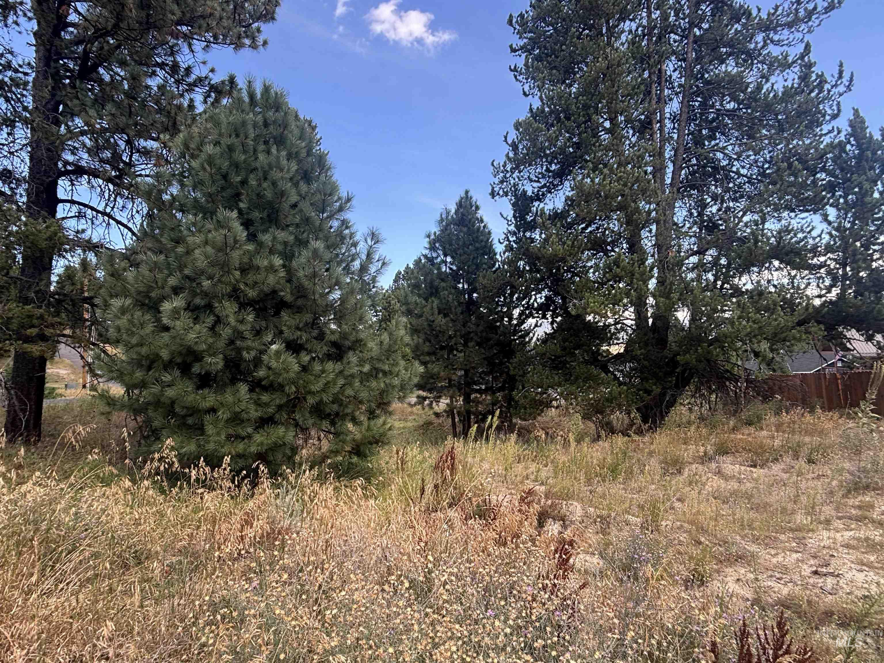417 Antonette Circle, Cascade, Idaho 83611, Land For Sale, Price $149,900, 98999931