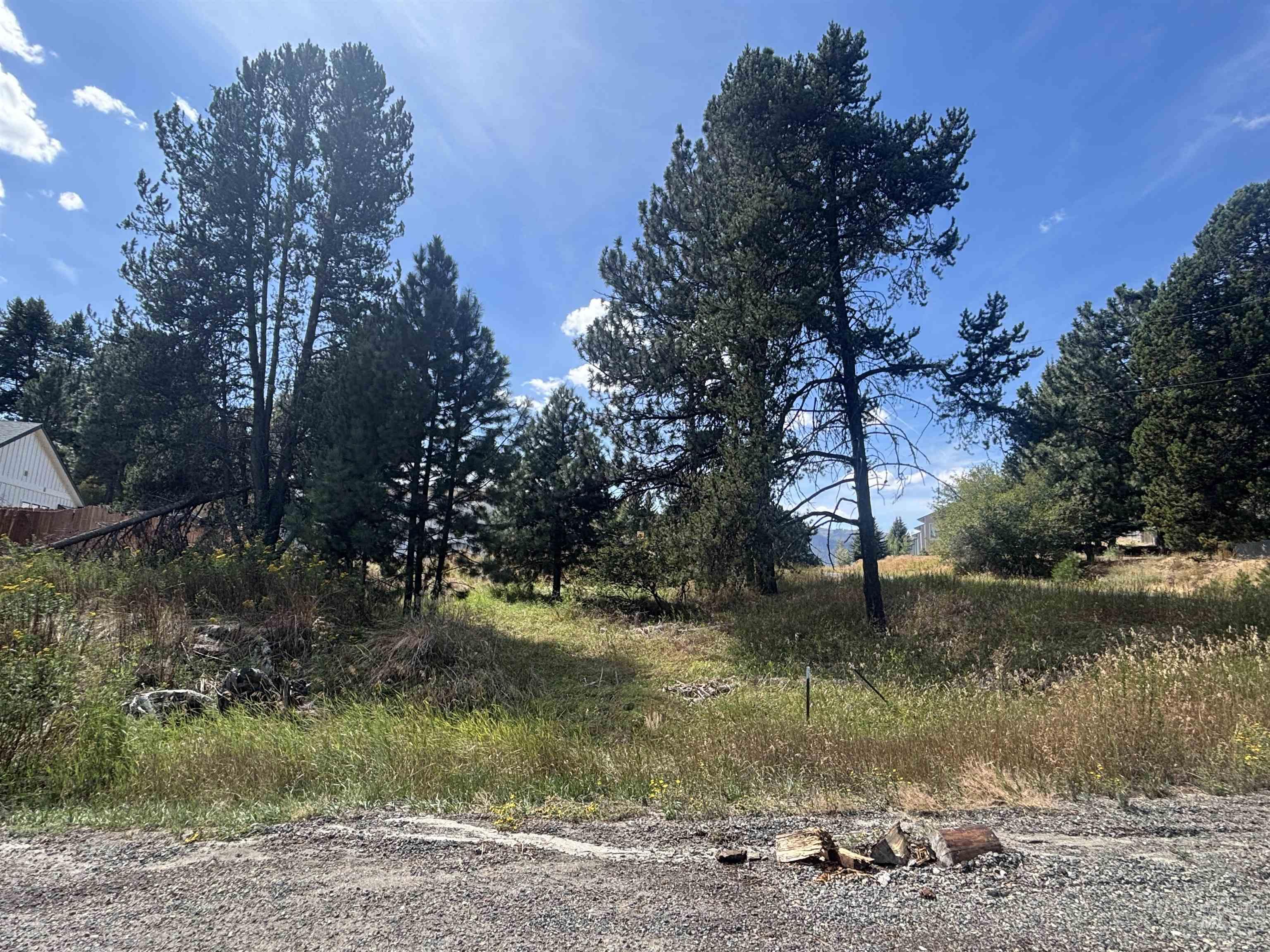 417 Antonette Circle, Cascade, Idaho 83611, Land For Sale, Price $149,900, 98999931