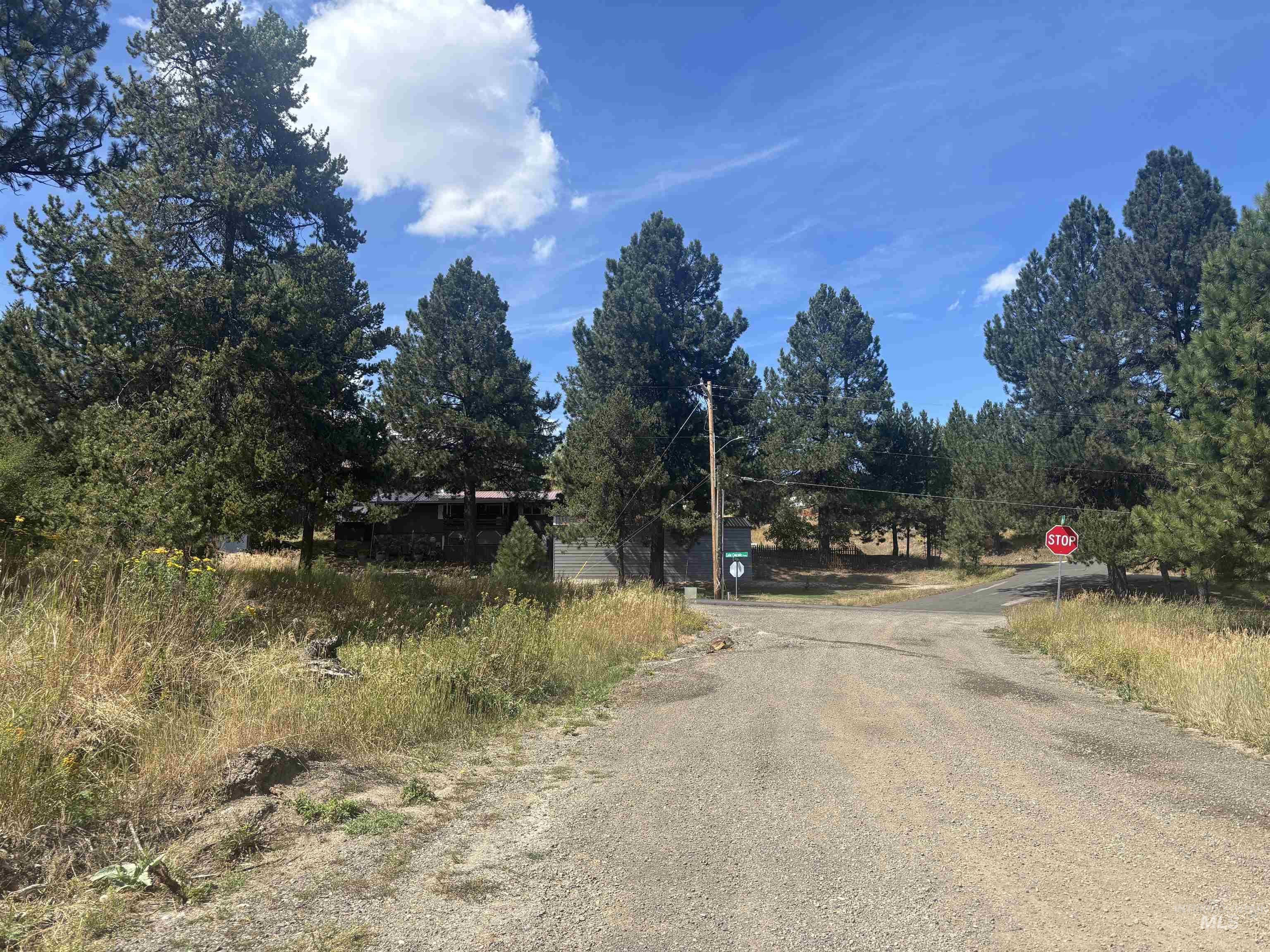 417 Antonette Circle, Cascade, Idaho 83611, Land For Sale, Price $149,900, 98999931