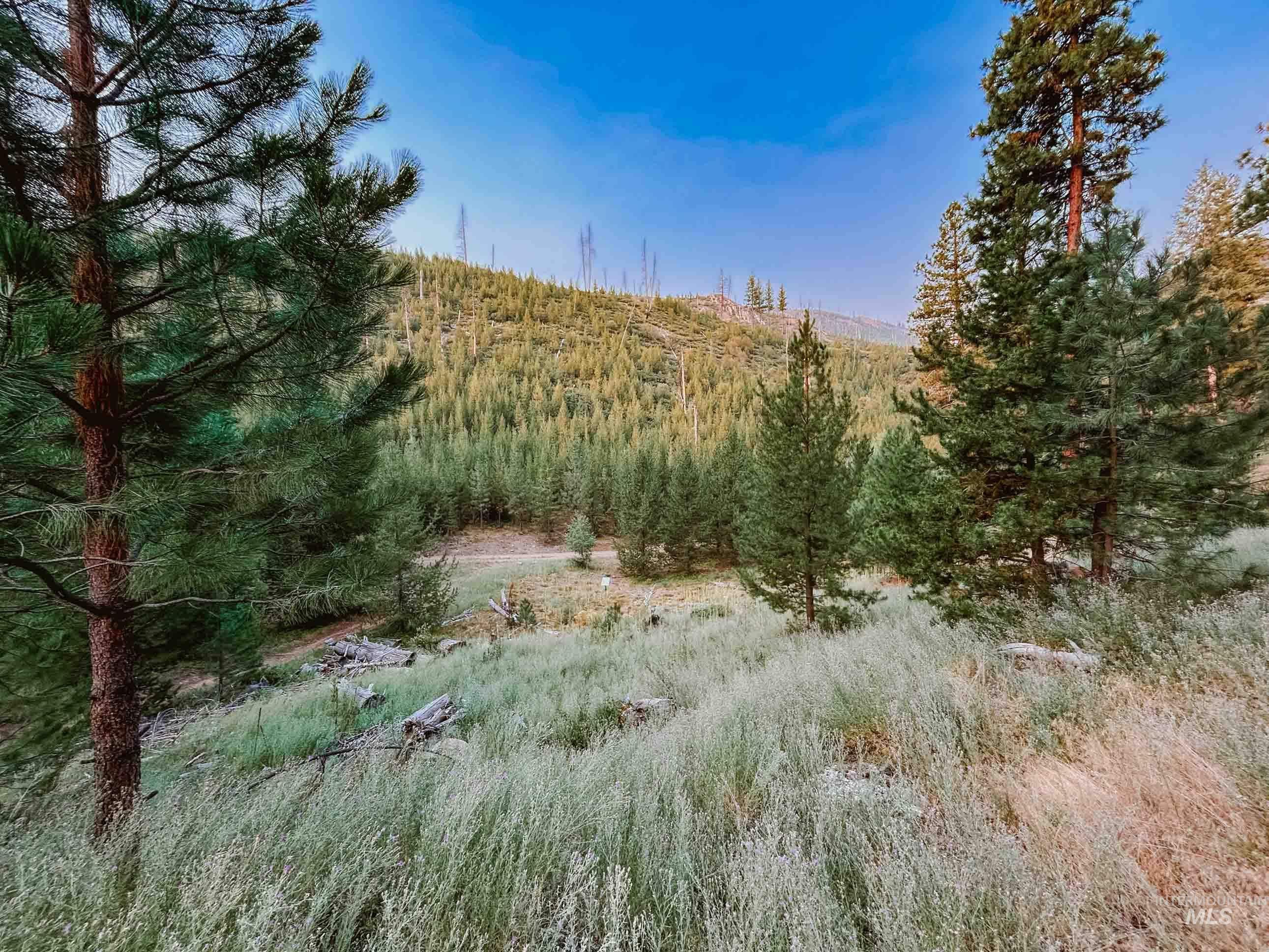 NKA Yuba Vista, Atlanta, Idaho 83716, Land For Sale, Price $115,000,MLS 98999985