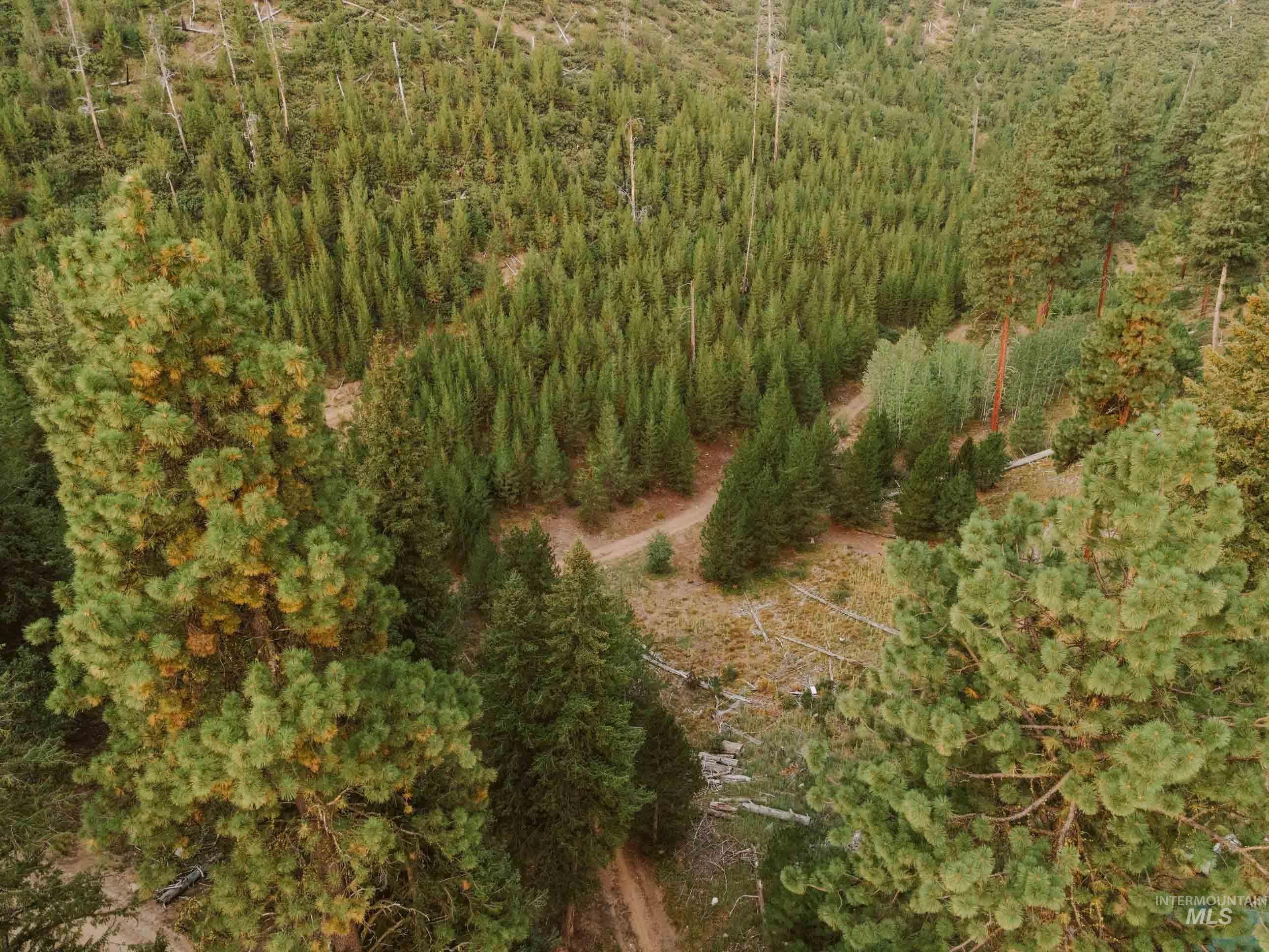 NKA Yuba Vista, Atlanta, Idaho 83716, Land For Sale, Price $115,000,MLS 98999985
