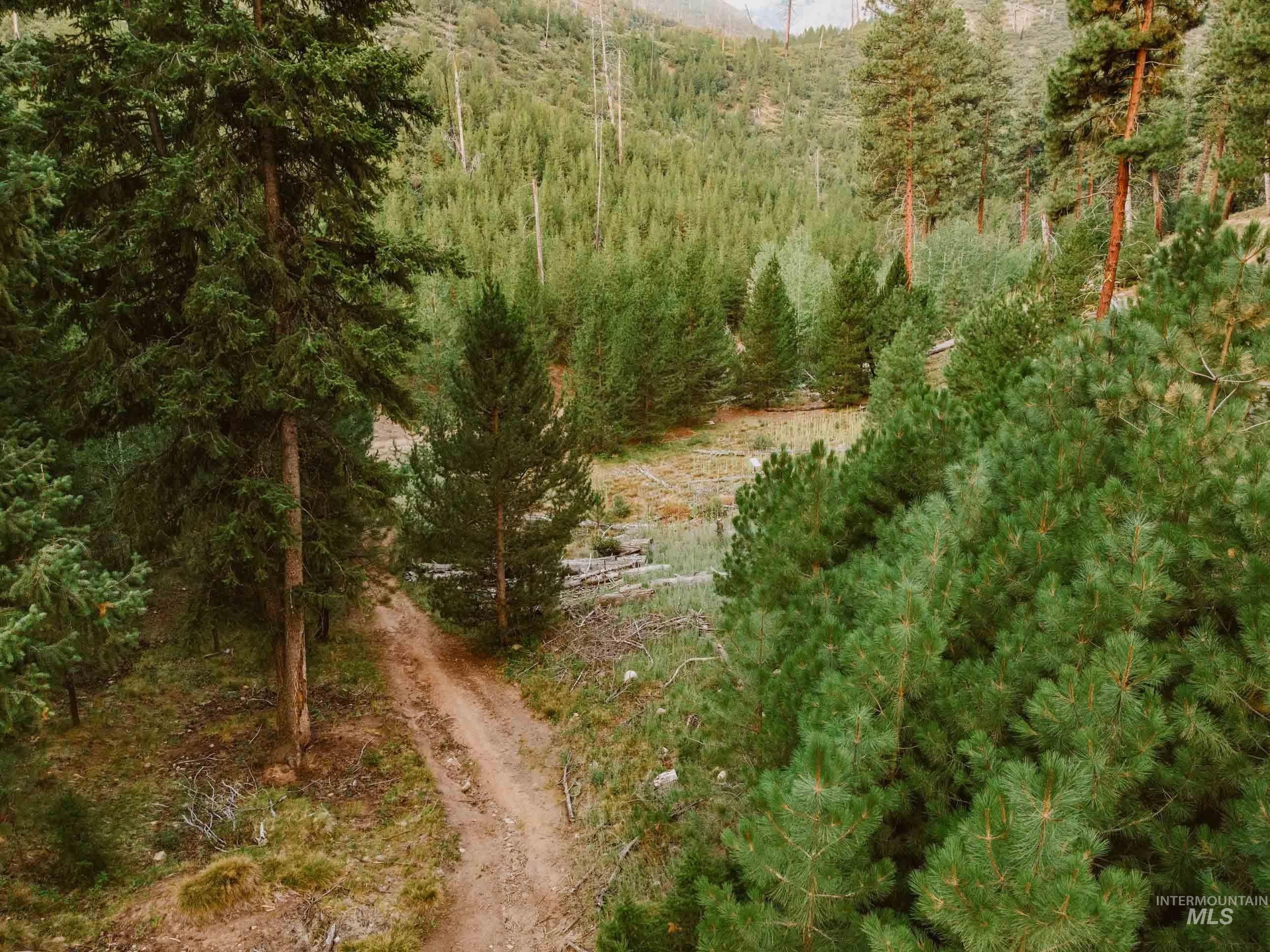 NKA Yuba Vista, Atlanta, Idaho 83716, Land For Sale, Price $115,000,MLS 98999985