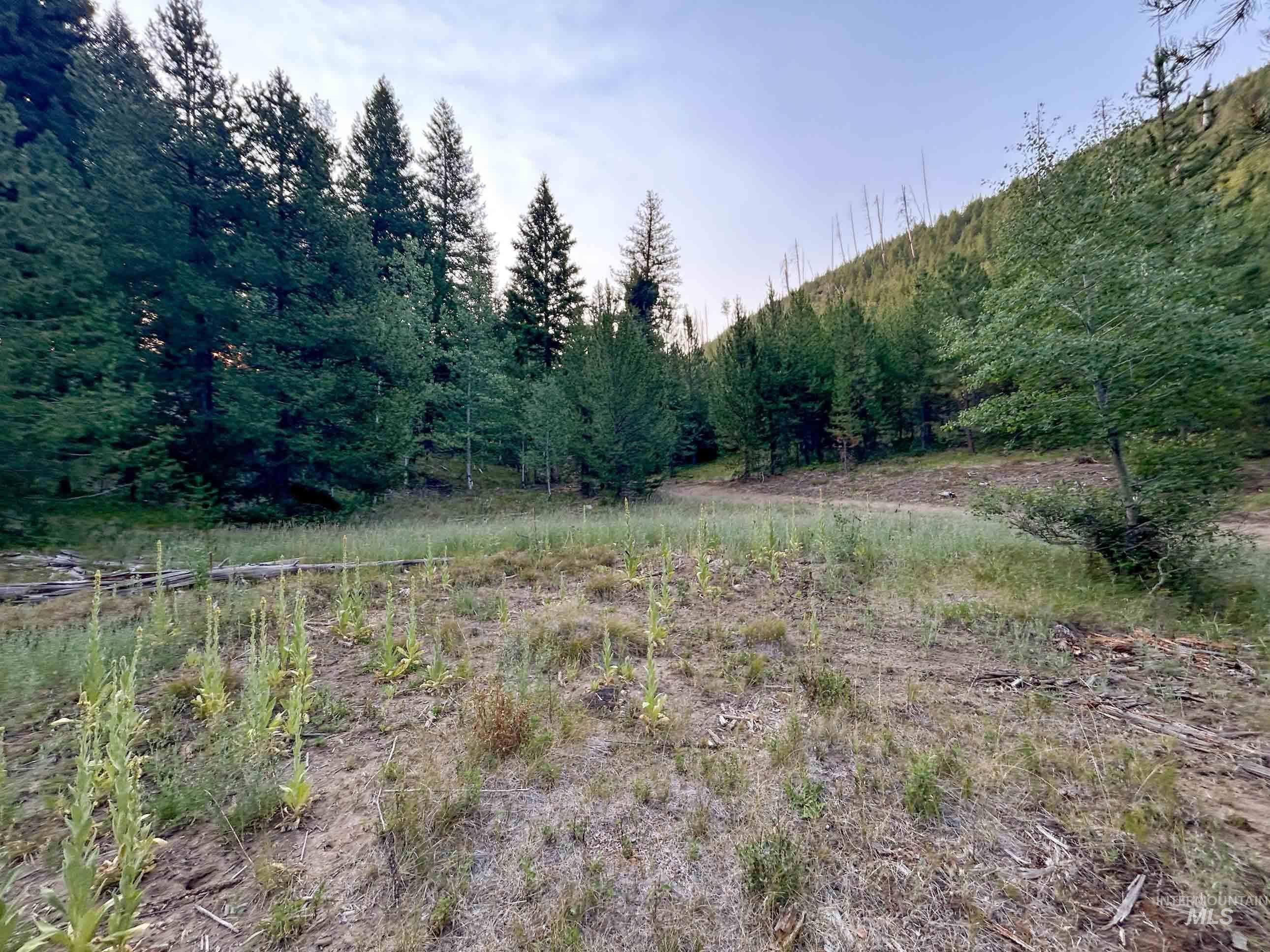 NKA Yuba Vista, Atlanta, Idaho 83716, Land For Sale, Price $115,000,MLS 98999985