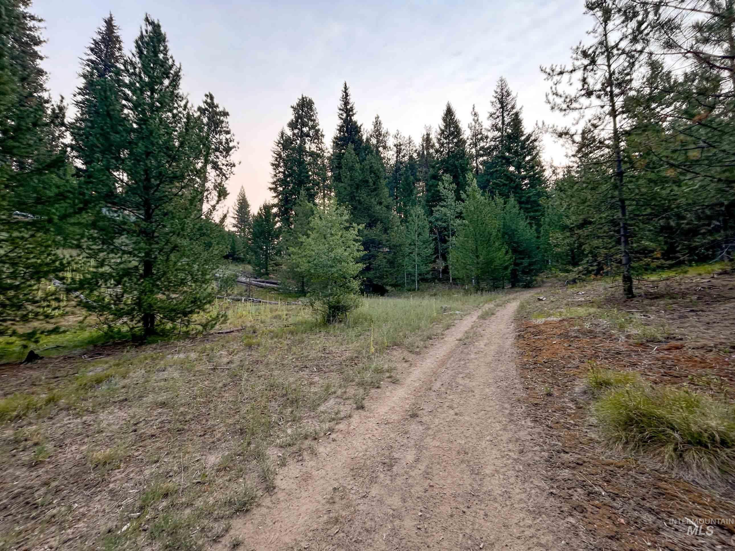 NKA Yuba Vista, Atlanta, Idaho 83716, Land For Sale, Price $115,000,MLS 98999985