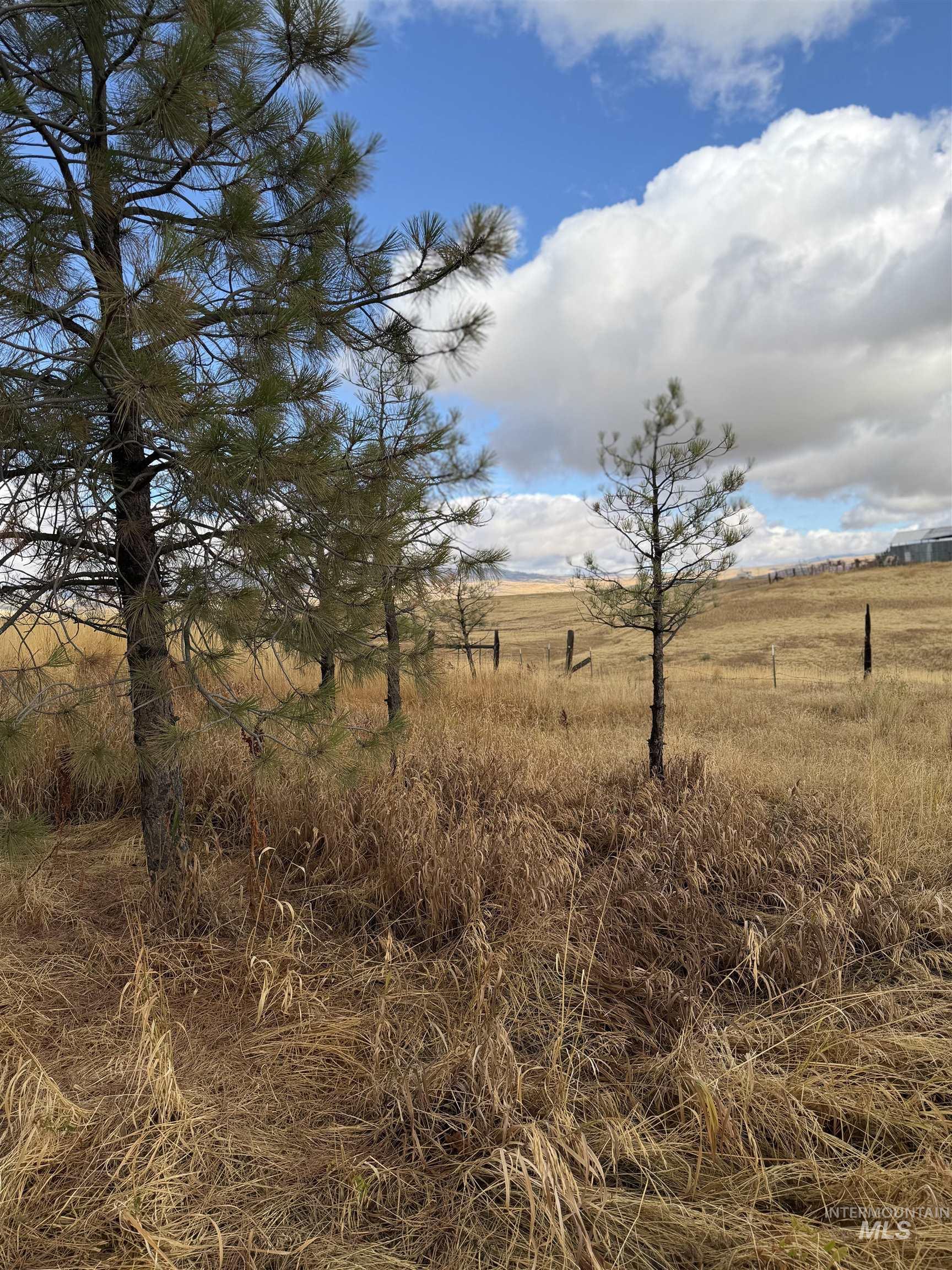 2277 Keithly Creek Rd, Midvale, Idaho 83645, 1 Bedroom, 1 Bathroom, Residential For Sale, Price $169,900,MLS 99000016