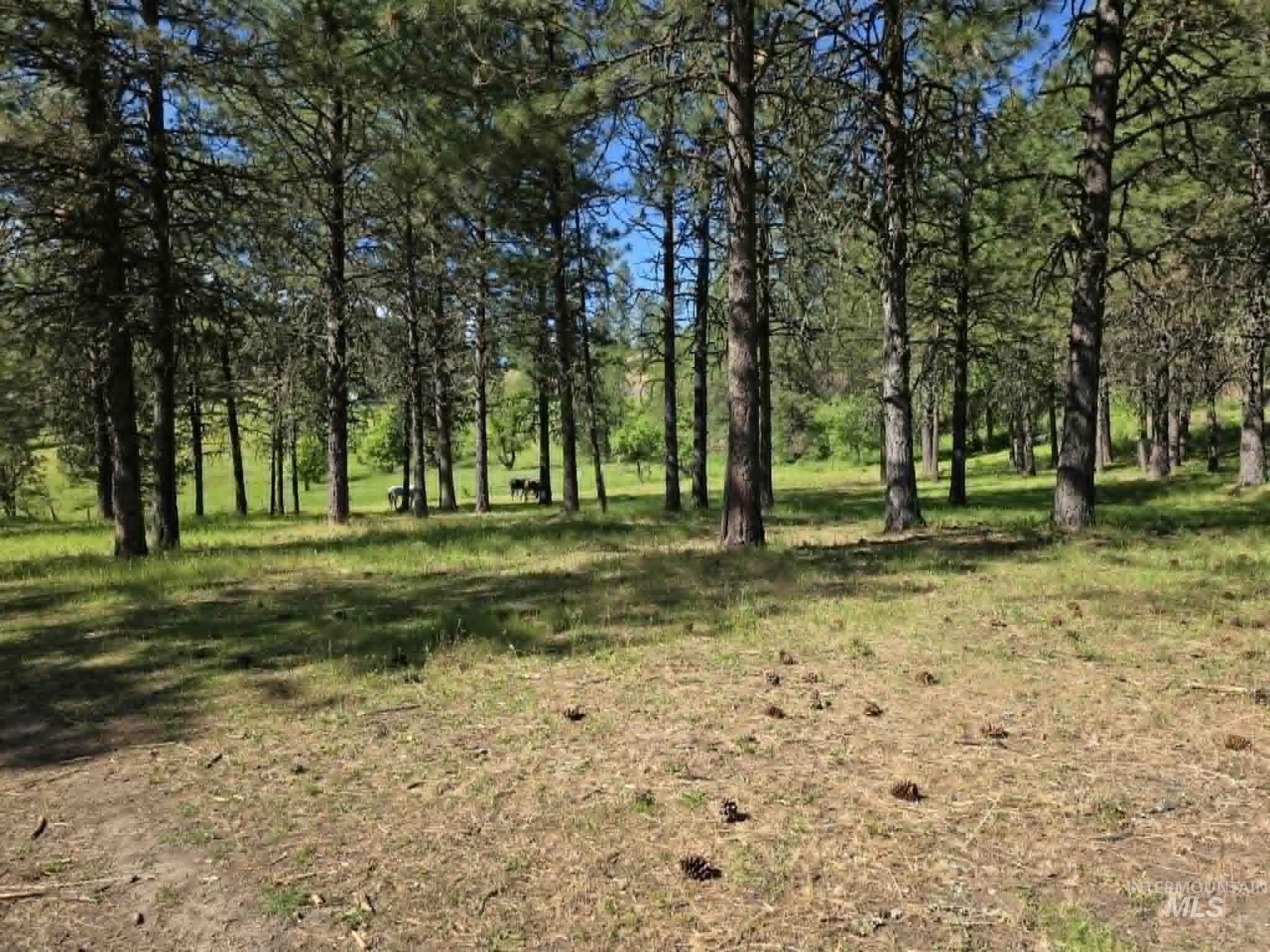 3871 Lakeview Road, Orofino, Idaho 83544, 3 Bedrooms, 2 Bathrooms, Residential For Sale, Price $650,000,MLS 99000029
