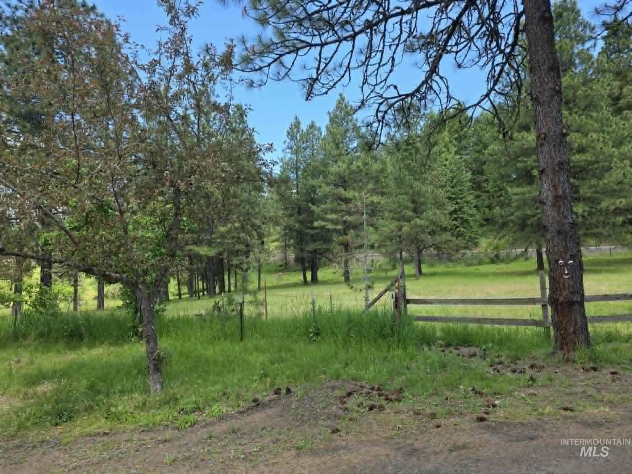 3871 Lakeview Road, Orofino, Idaho 83544, 3 Bedrooms, 2 Bathrooms, Residential For Sale, Price $650,000,MLS 99000029
