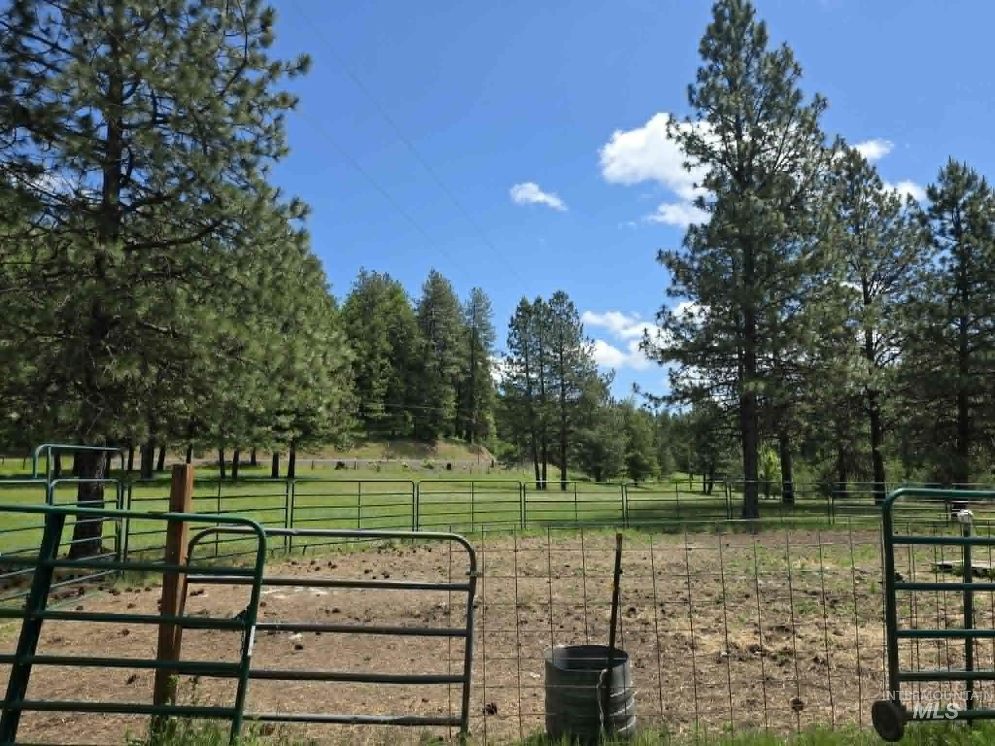 3871 Lakeview Road, Orofino, Idaho 83544, 3 Bedrooms, 2 Bathrooms, Residential For Sale, Price $650,000,MLS 99000029