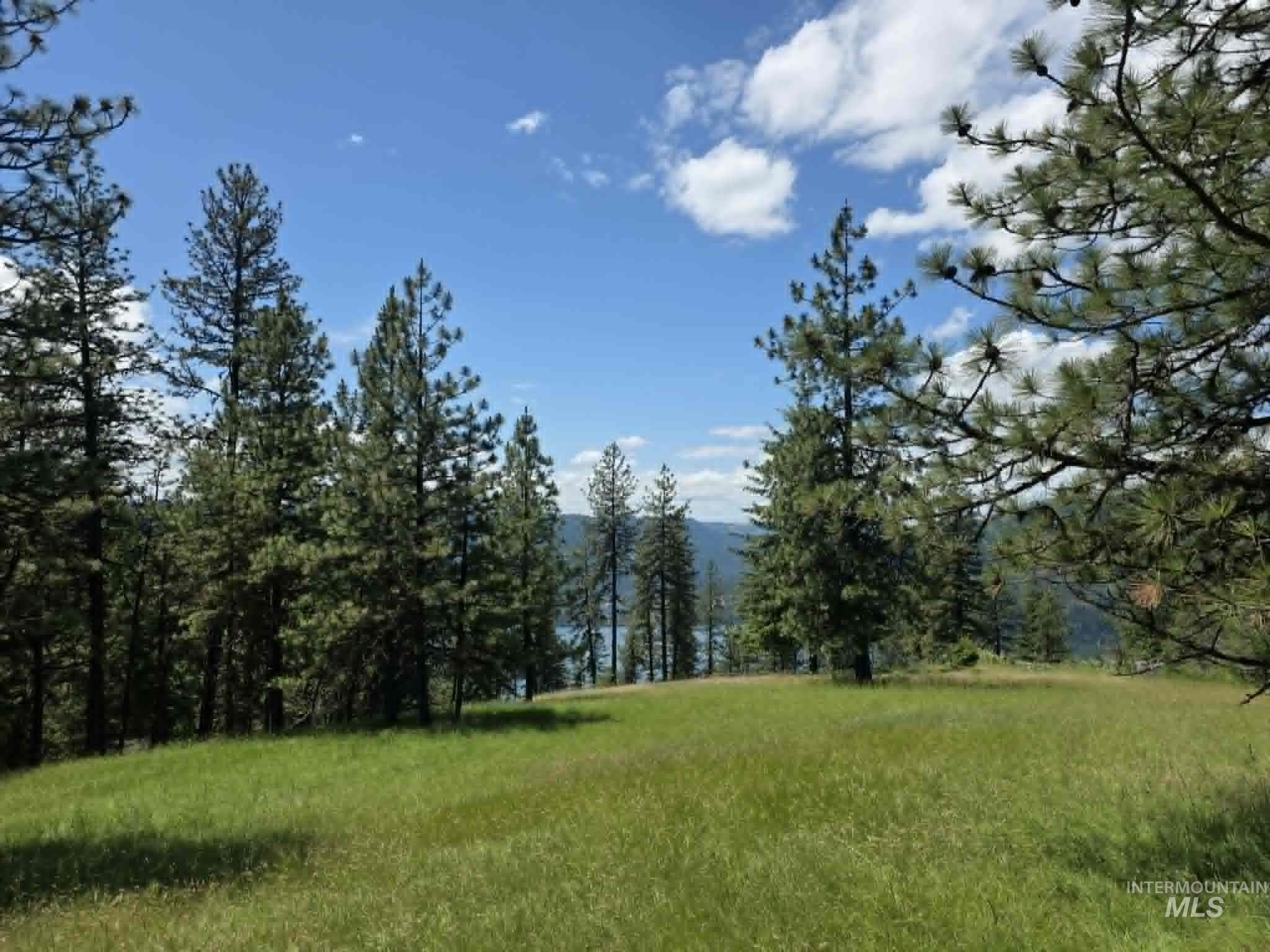 3871 Lakeview Road, Orofino, Idaho 83544, 3 Bedrooms, 2 Bathrooms, Residential For Sale, Price $650,000,MLS 99000029