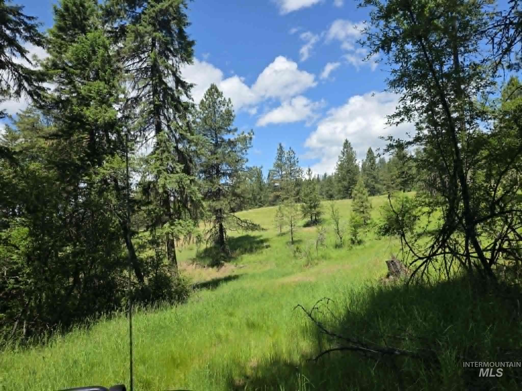 3871 Lakeview Road, Orofino, Idaho 83544, 3 Bedrooms, 2 Bathrooms, Residential For Sale, Price $650,000,MLS 99000029