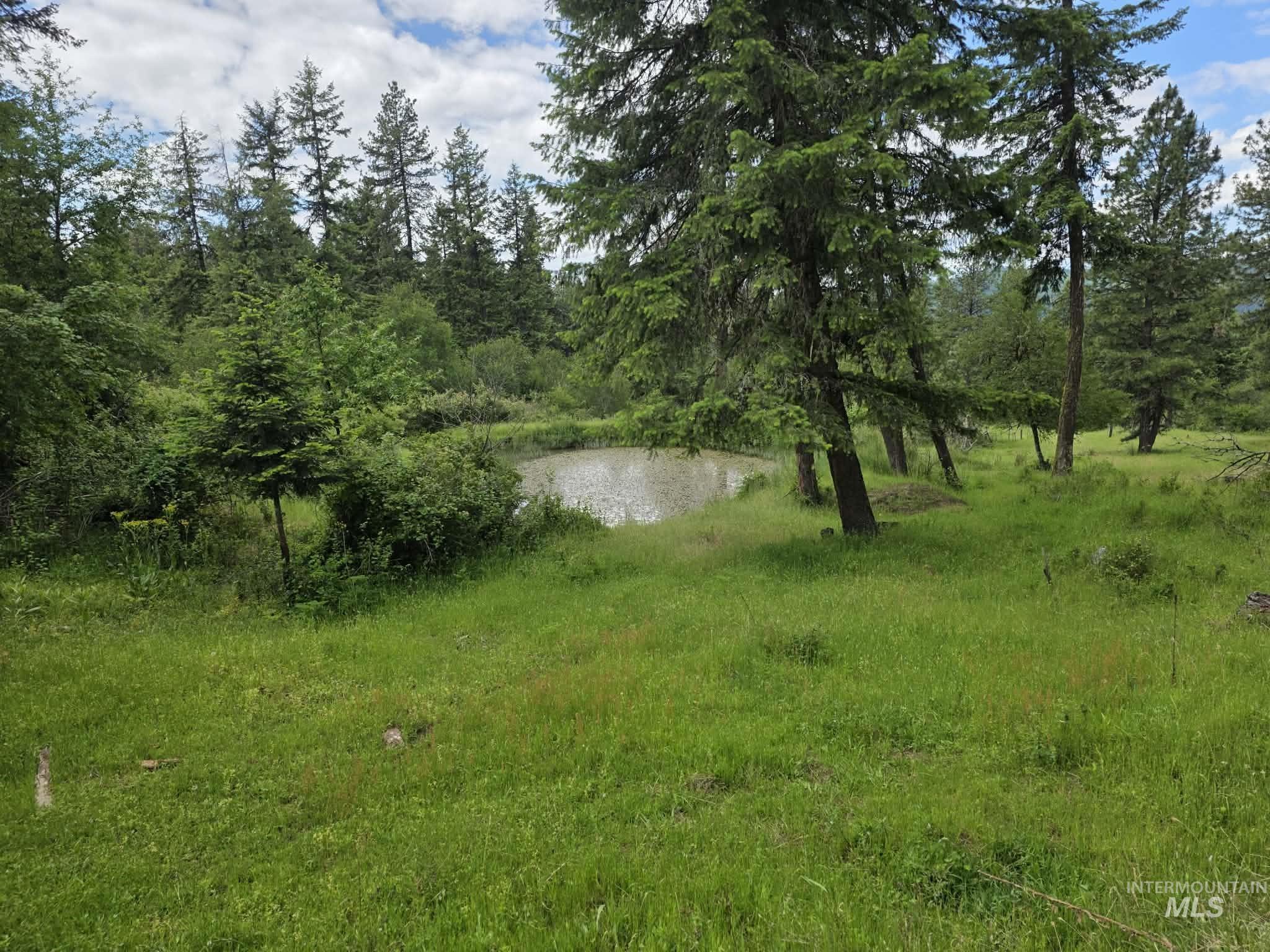 3871 Lakeview Road, Orofino, Idaho 83544, 3 Bedrooms, 2 Bathrooms, Residential For Sale, Price $650,000,MLS 99000029