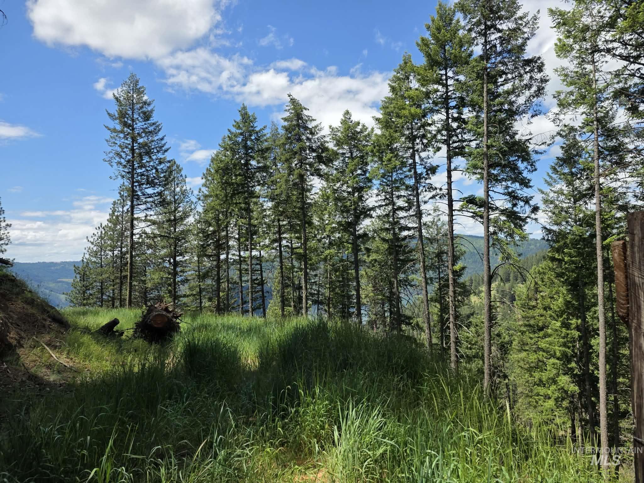 3871 Lakeview Road, Orofino, Idaho 83544, 3 Bedrooms, 2 Bathrooms, Residential For Sale, Price $650,000,MLS 99000029