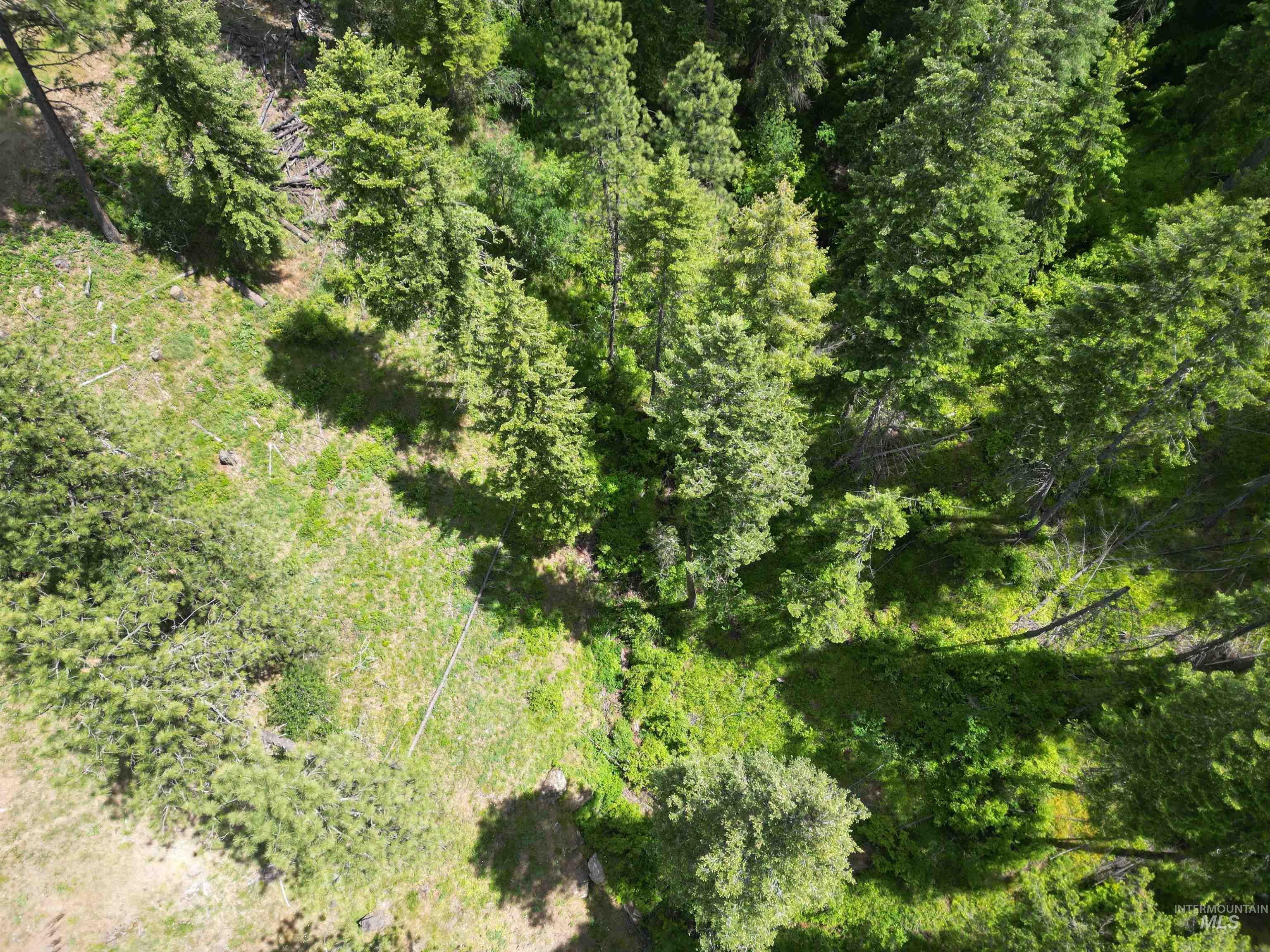 3871 Lakeview Road, Orofino, Idaho 83544, 3 Bedrooms, 2 Bathrooms, Residential For Sale, Price $650,000,MLS 99000029